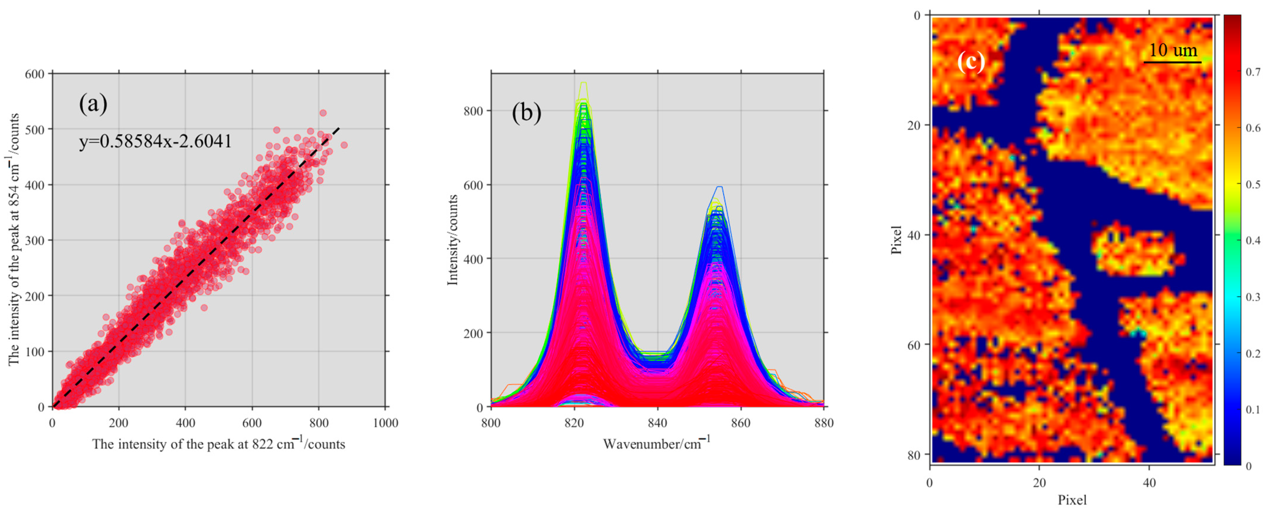 Chemosensors 11 00567 g010
