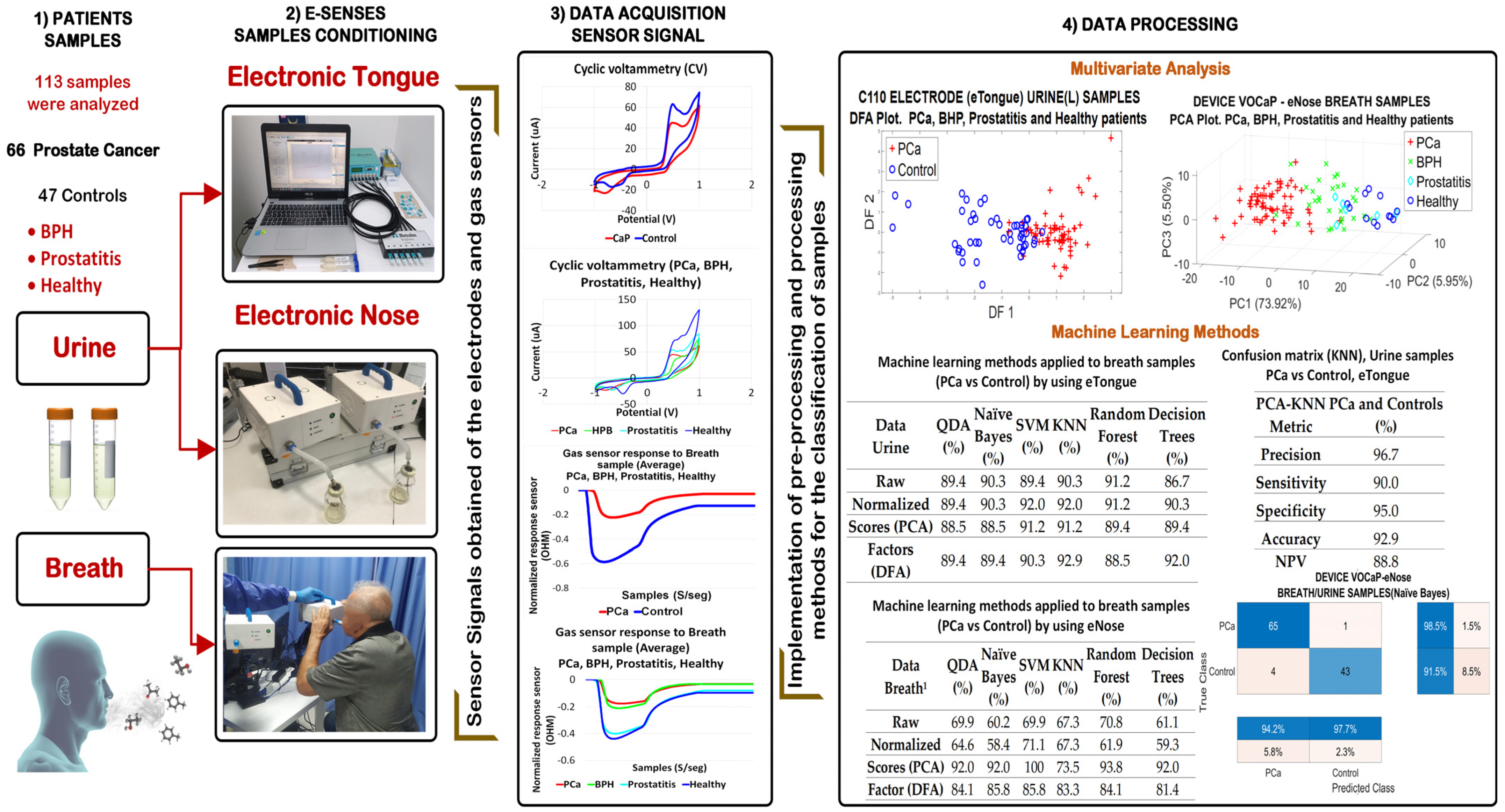 Chemosensors 12 00011 g001