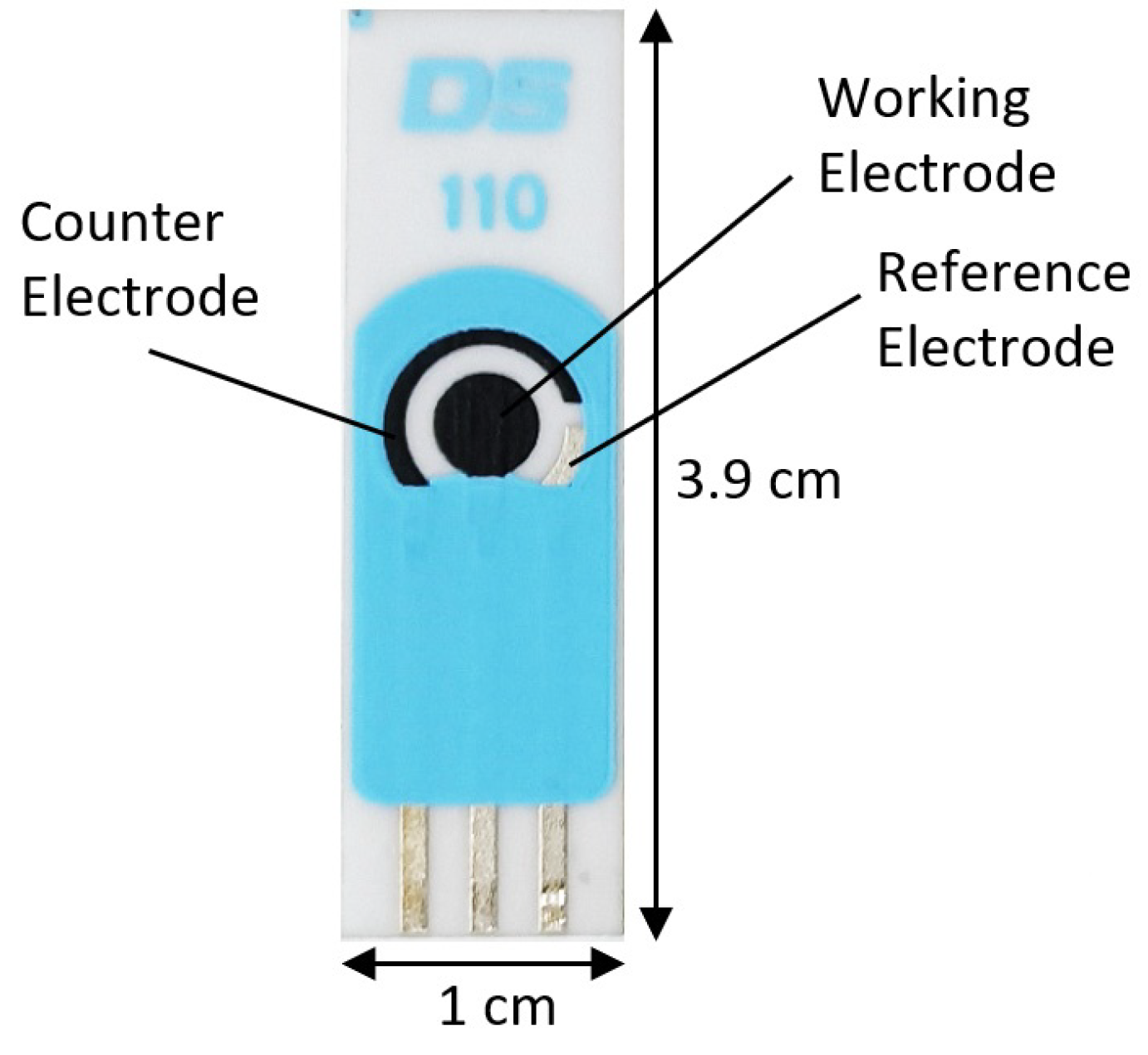 Chemosensors 12 00011 g004