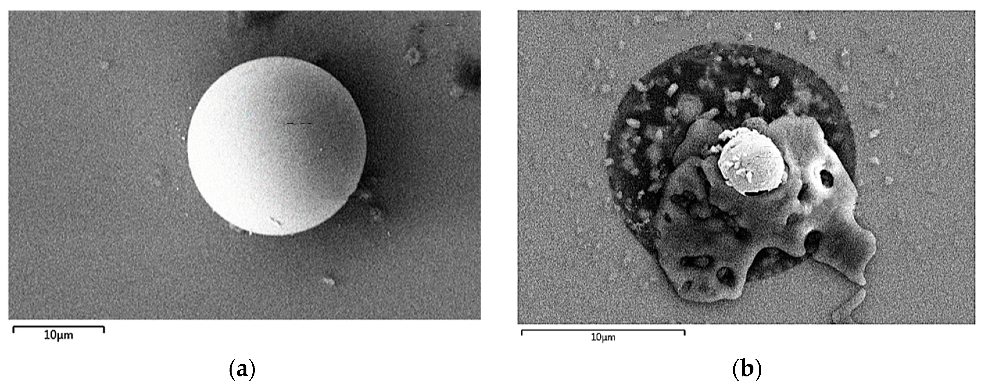 Chemosensors 12 00051 g007