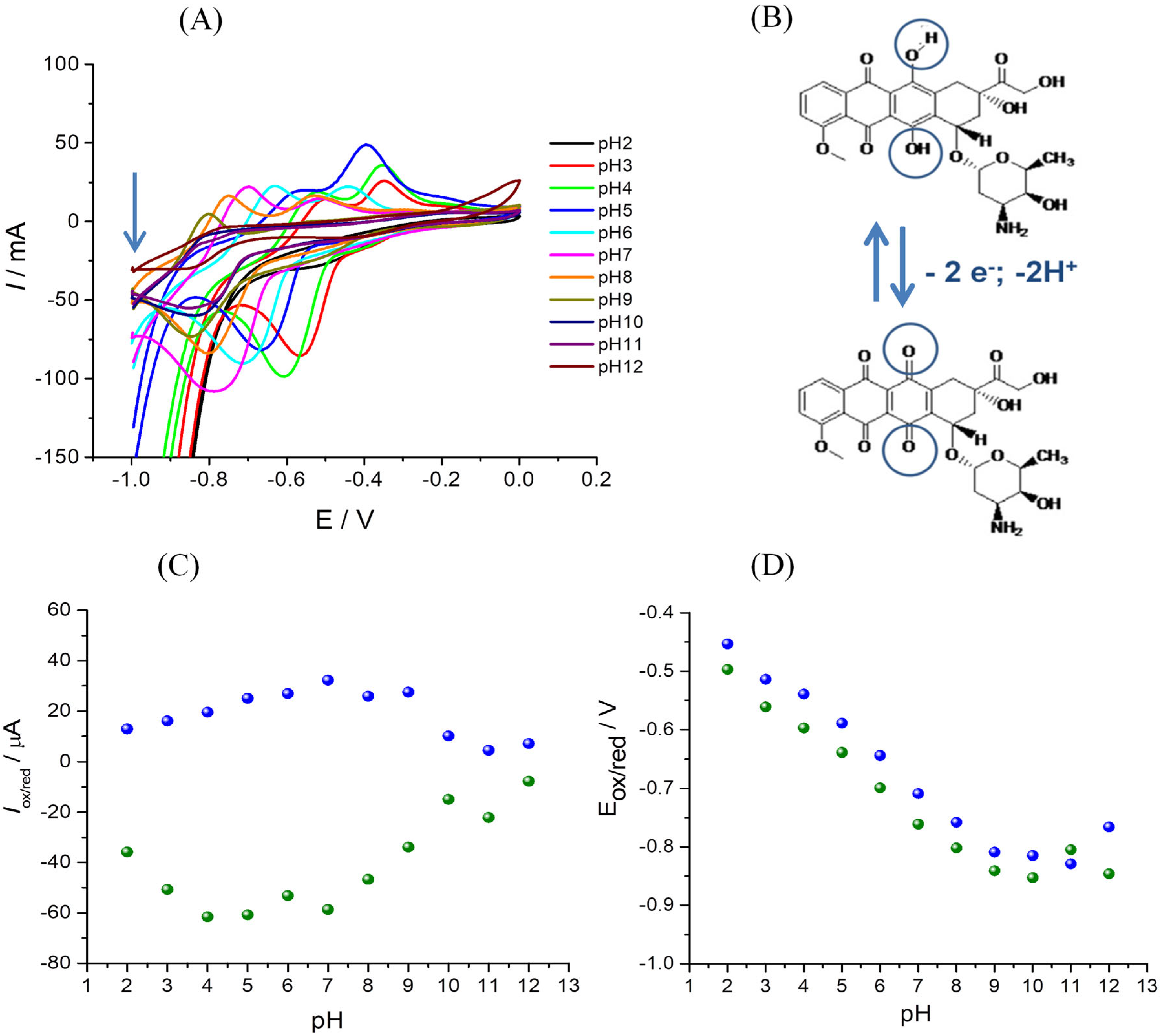 Chemosensors 12 00069 g006