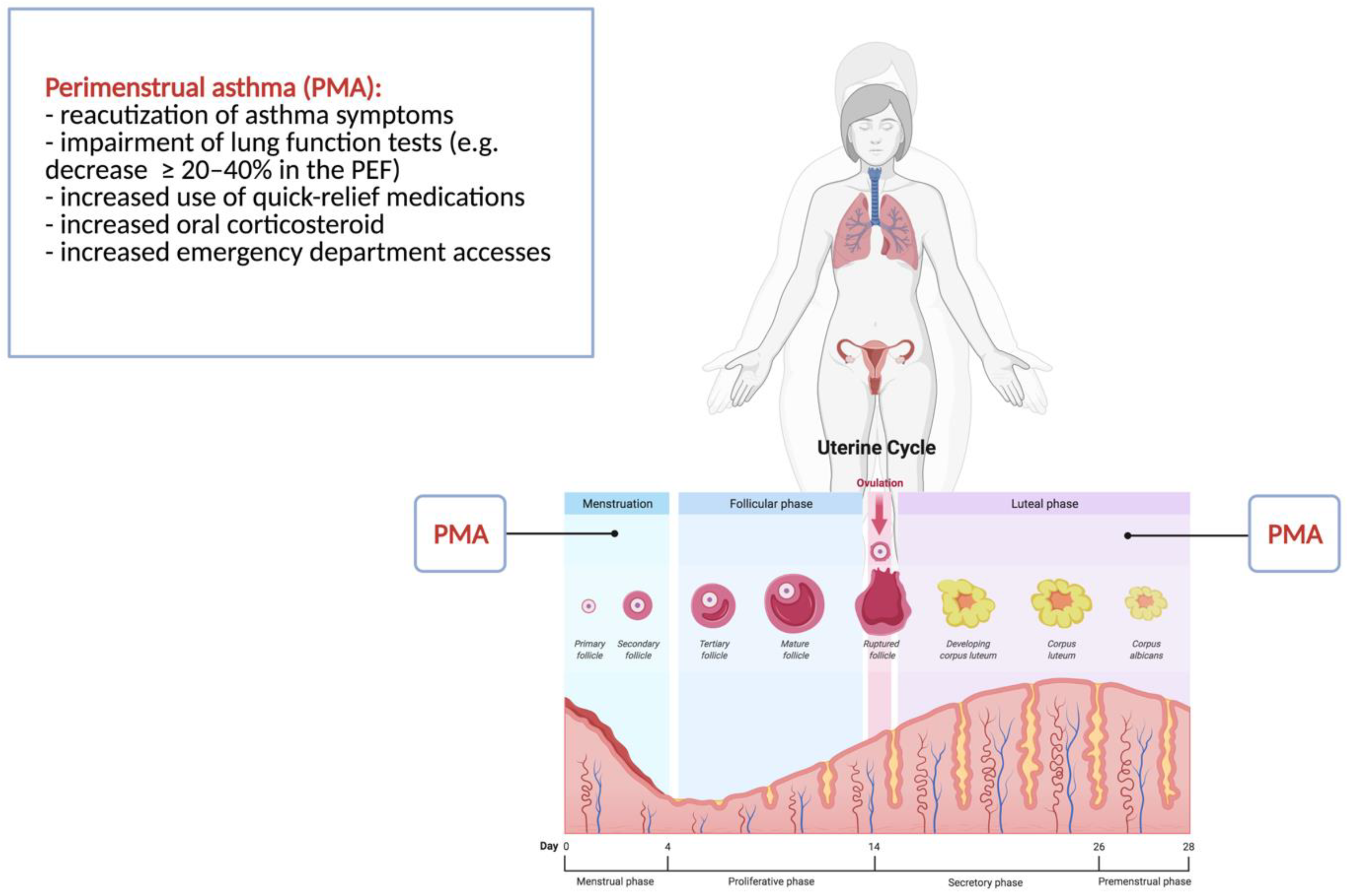 Children 09 00233 g003 Children 09 00233 g003