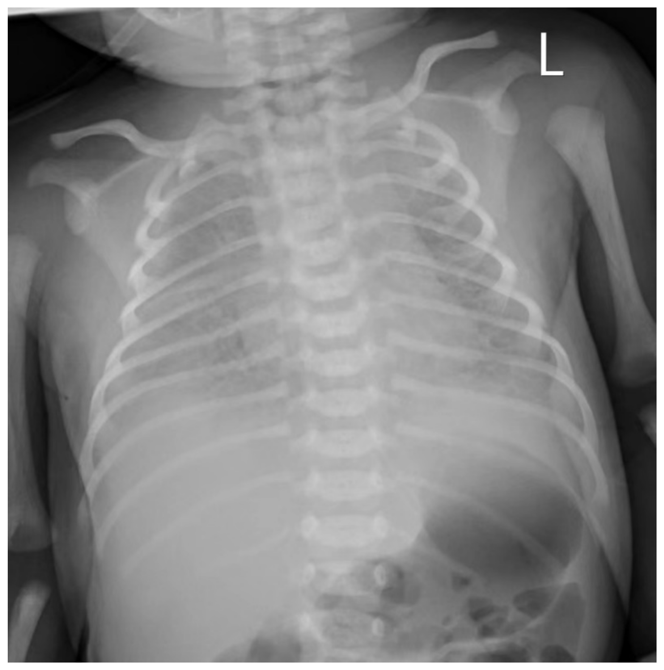 Children 09 01848 g002 Children 09 01848 g002