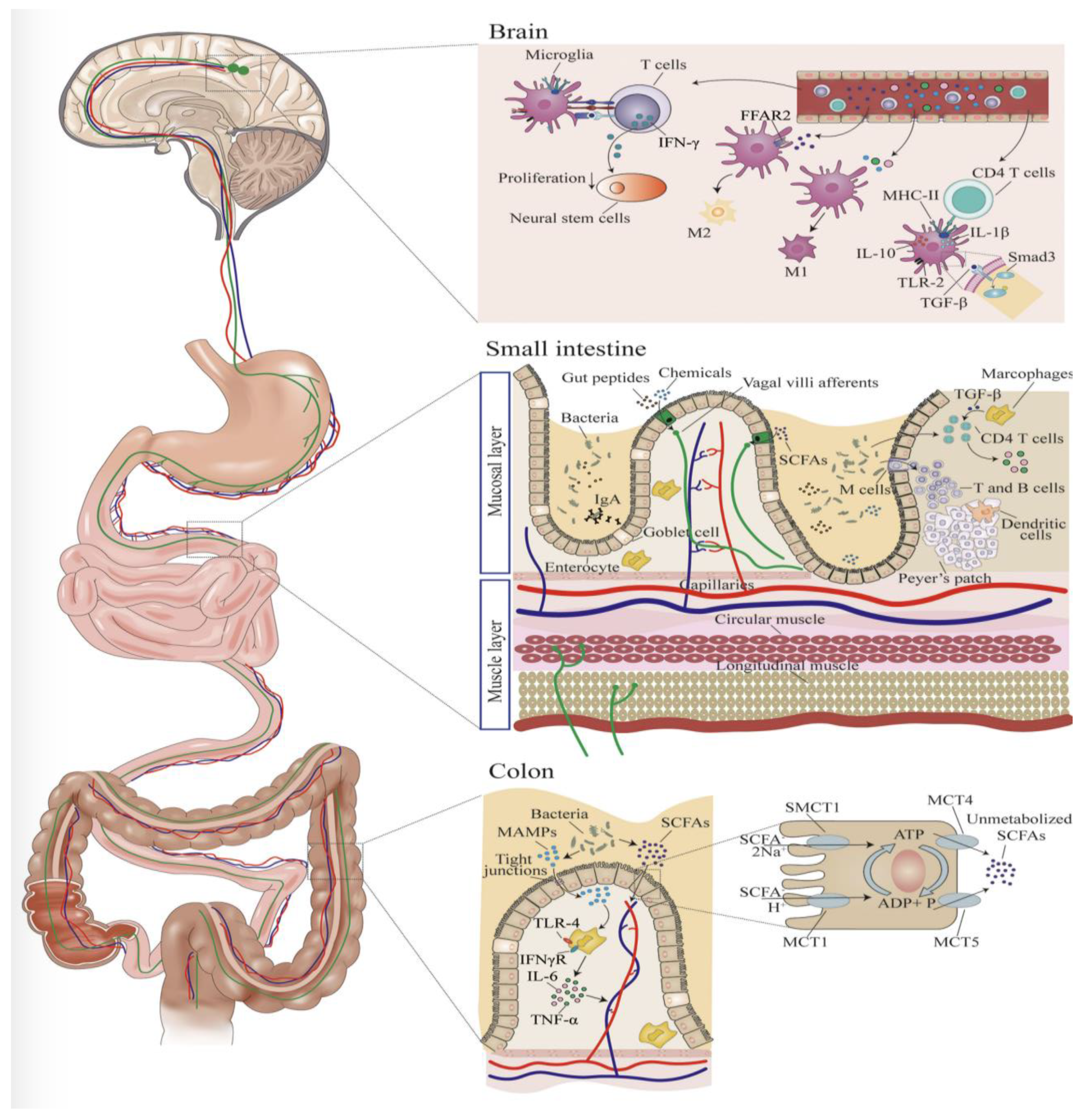 Children 10 01767 g002