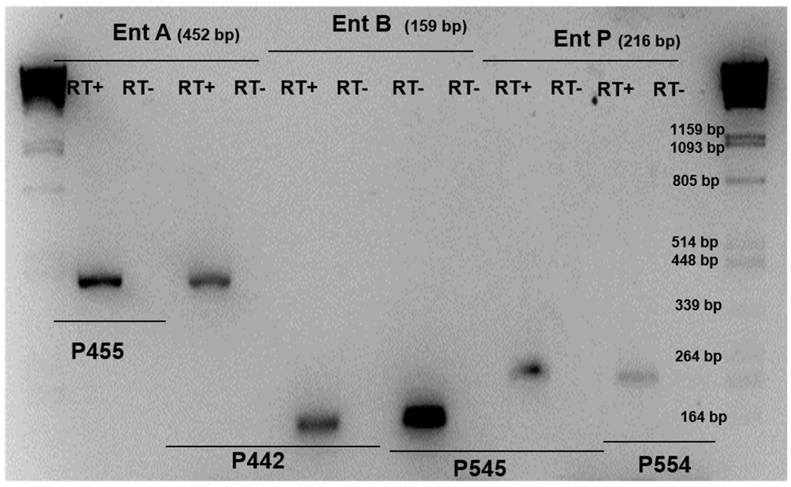 Children 11 00261 g002