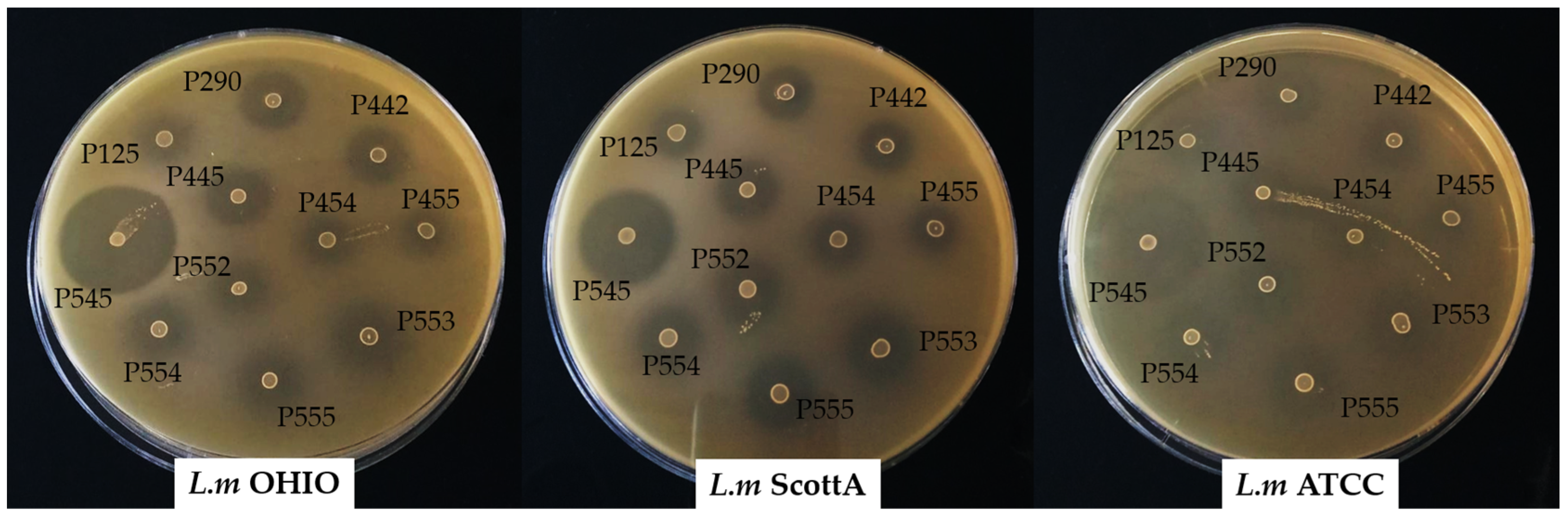 Children 11 00261 g003