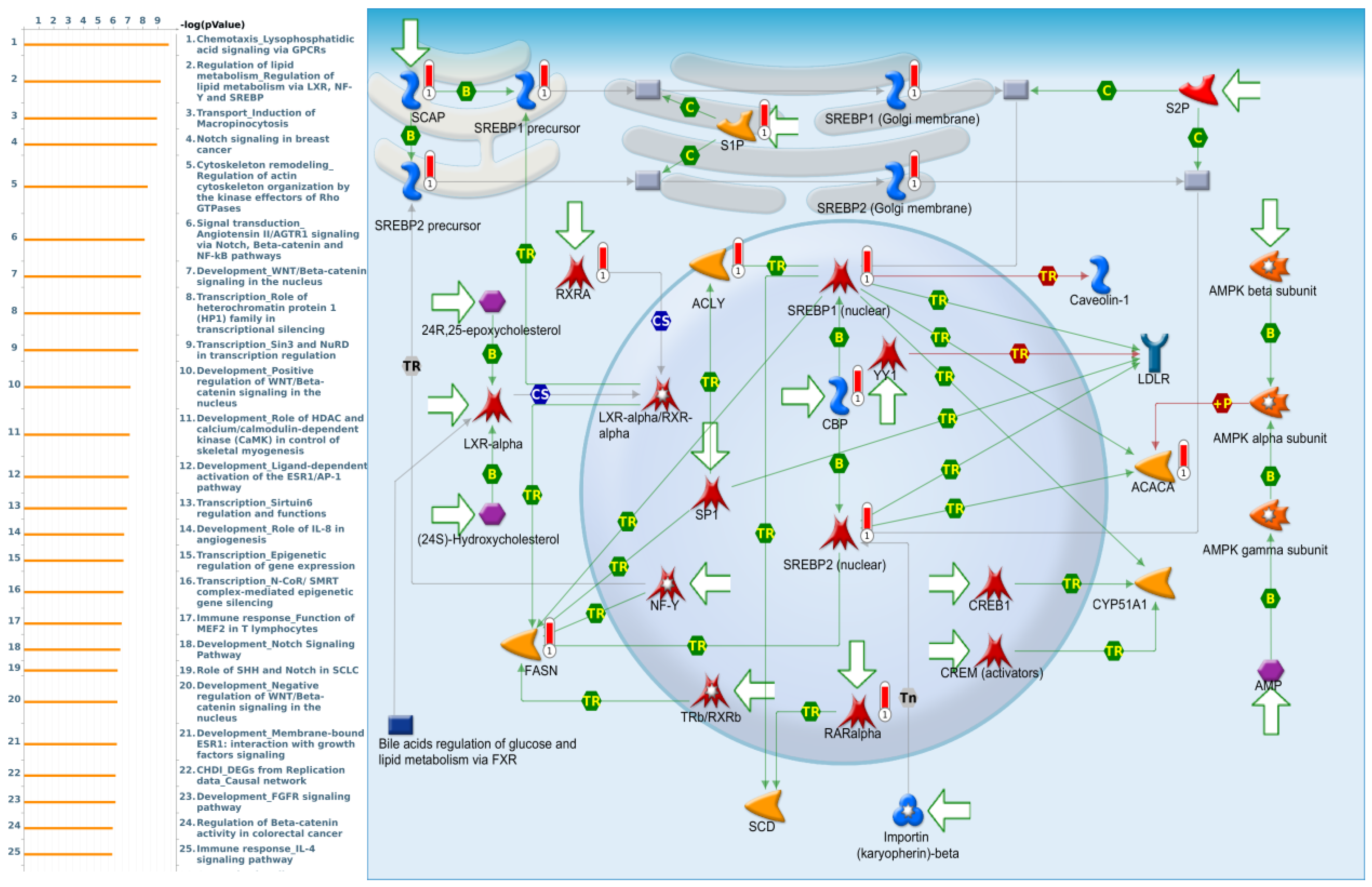 Cimb Free Full Text Comprehensive Analysis Of Prognostic And