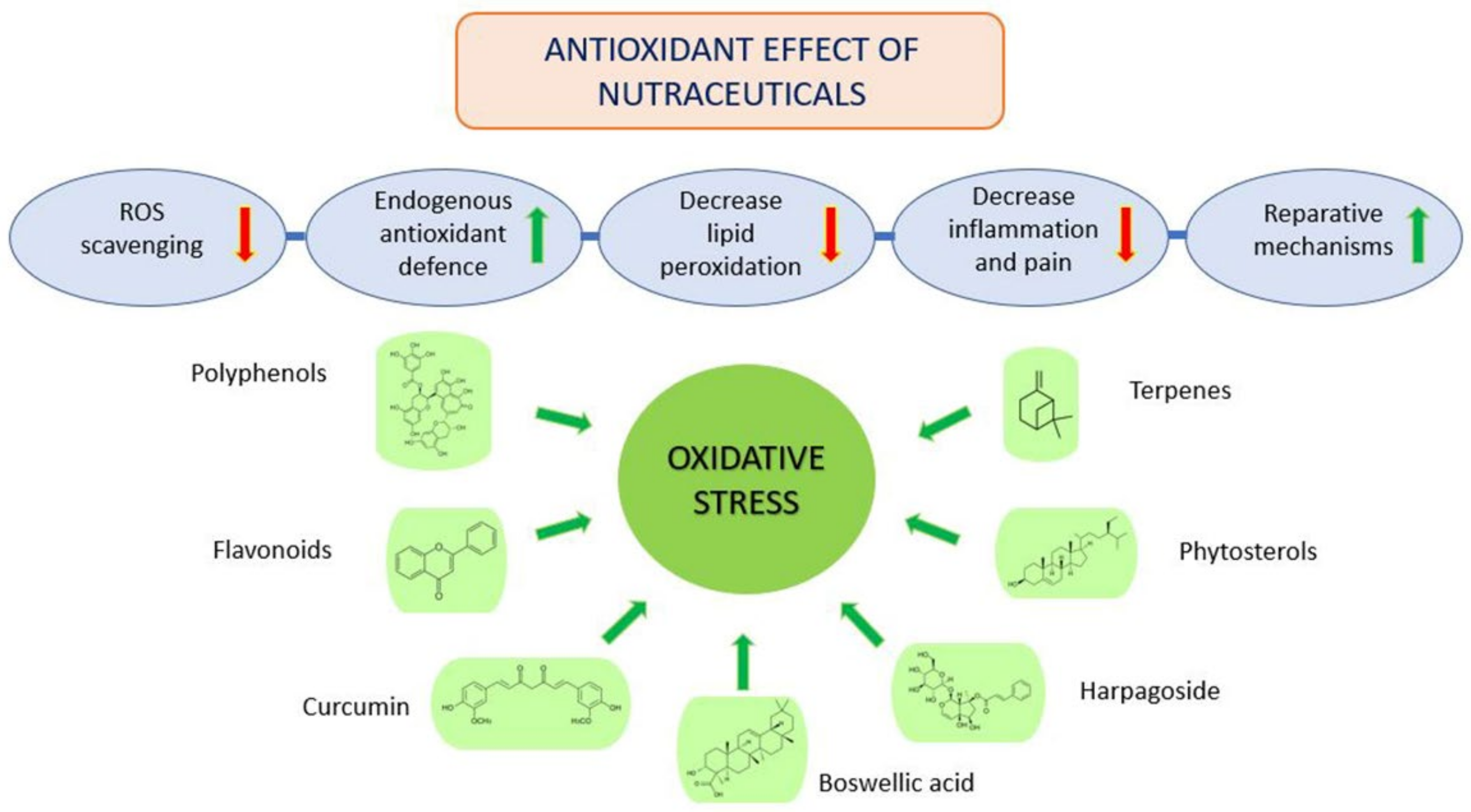 CIMB Free Full Text The Nutraceuticals As Modern Key To Achieve