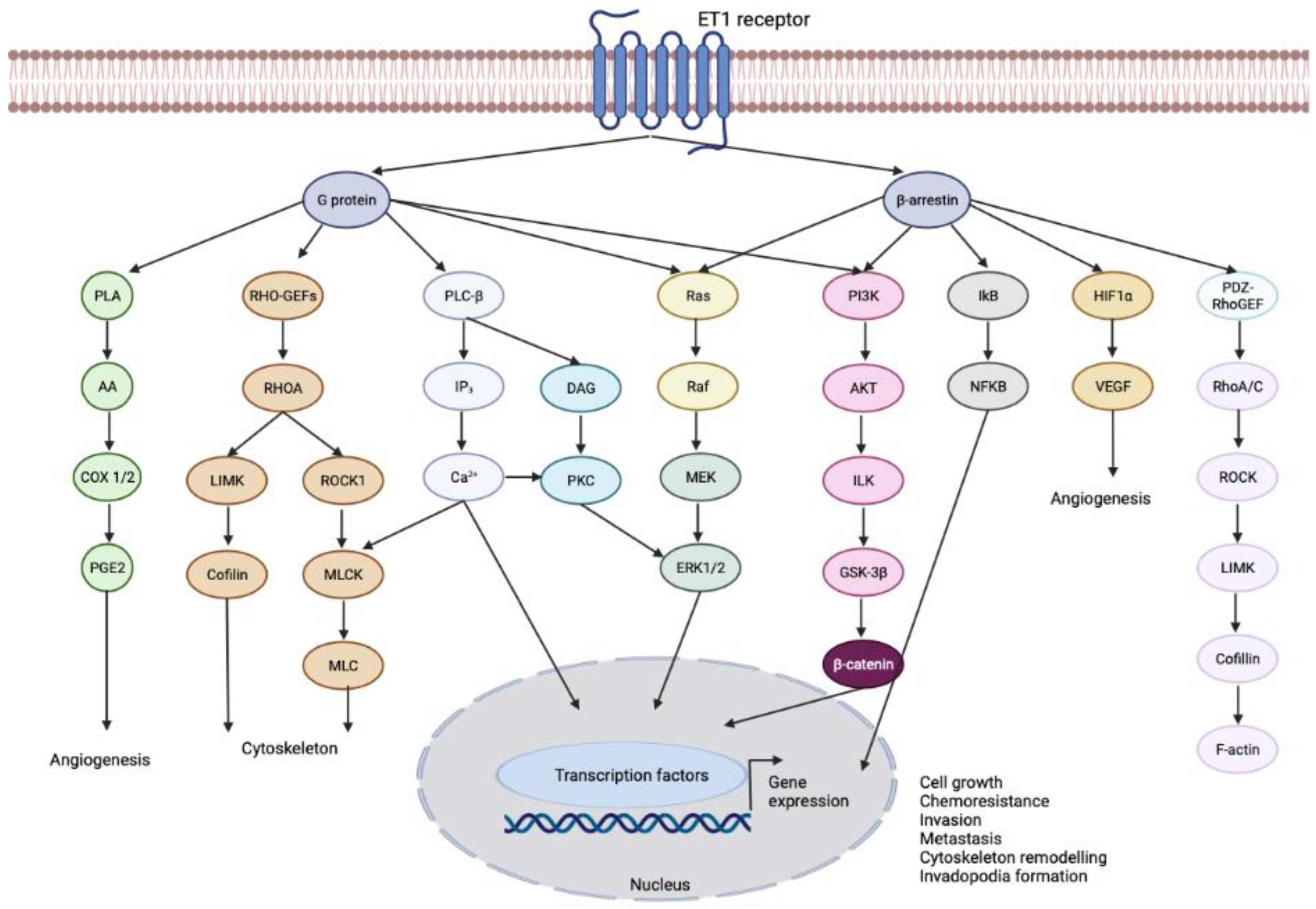 Cimb 45 00325 g003 Cimb 45 00325 g003