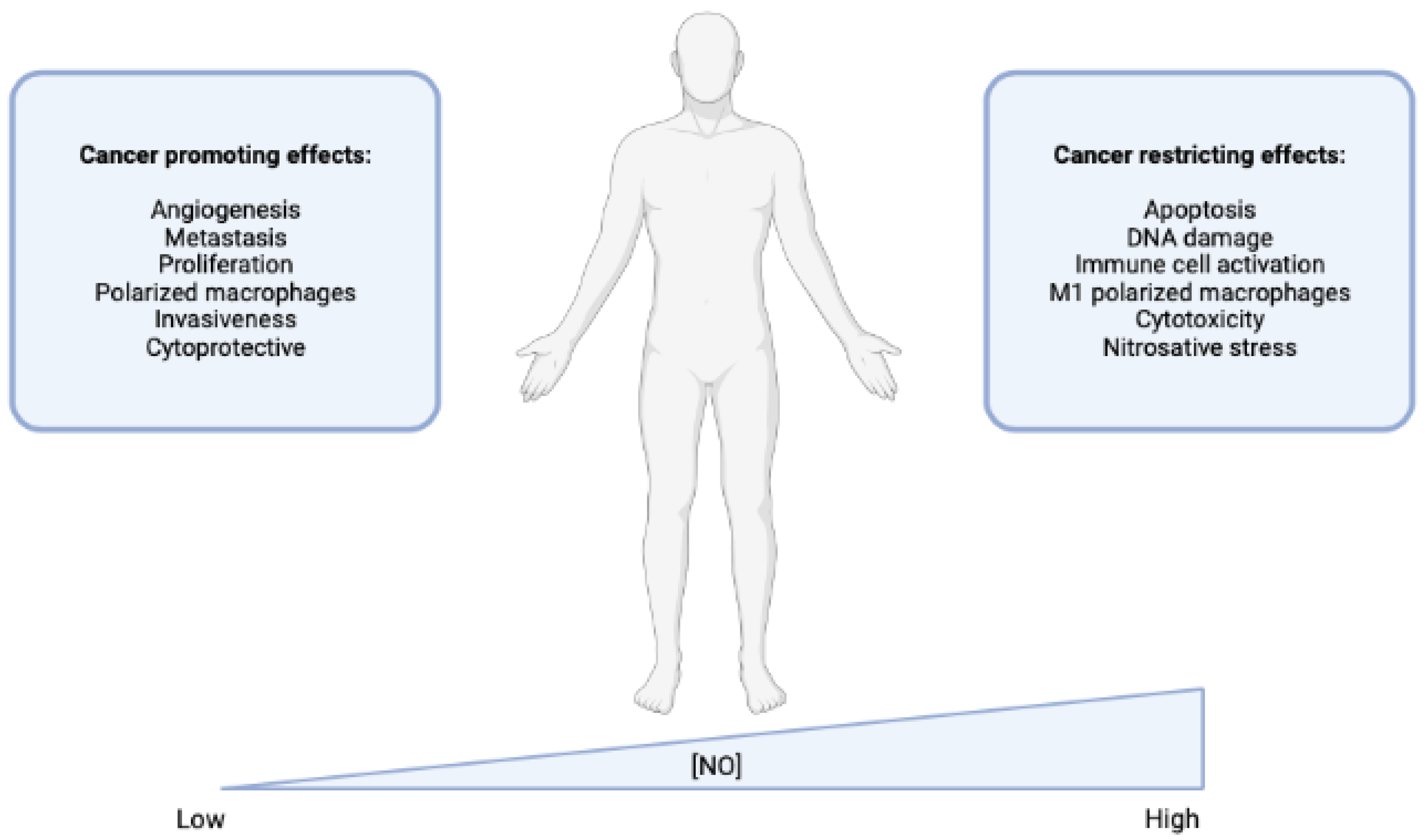 Cimb 45 00325 g004 Cimb 45 00325 g004