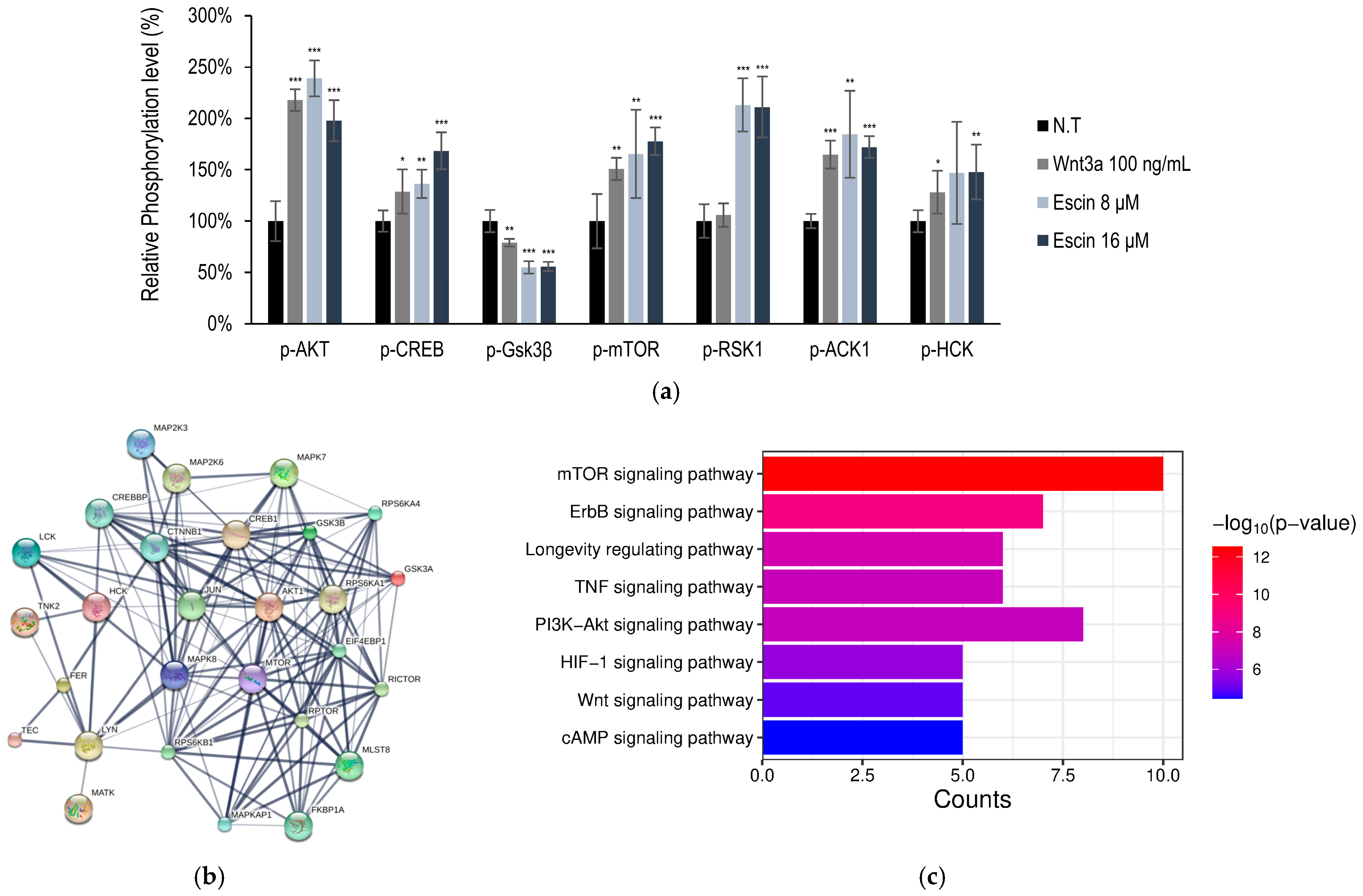 Cimb 47 00840 g002 Cimb 47 00840 g002
