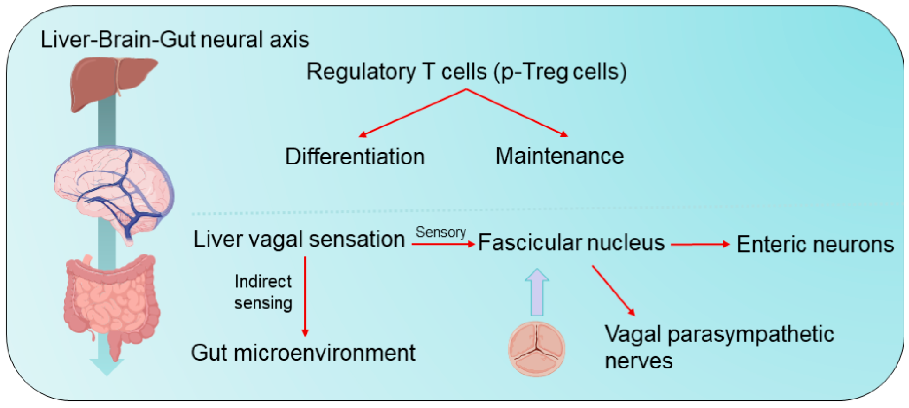 Cimb 47 00842 g003 Cimb 47 00842 g003