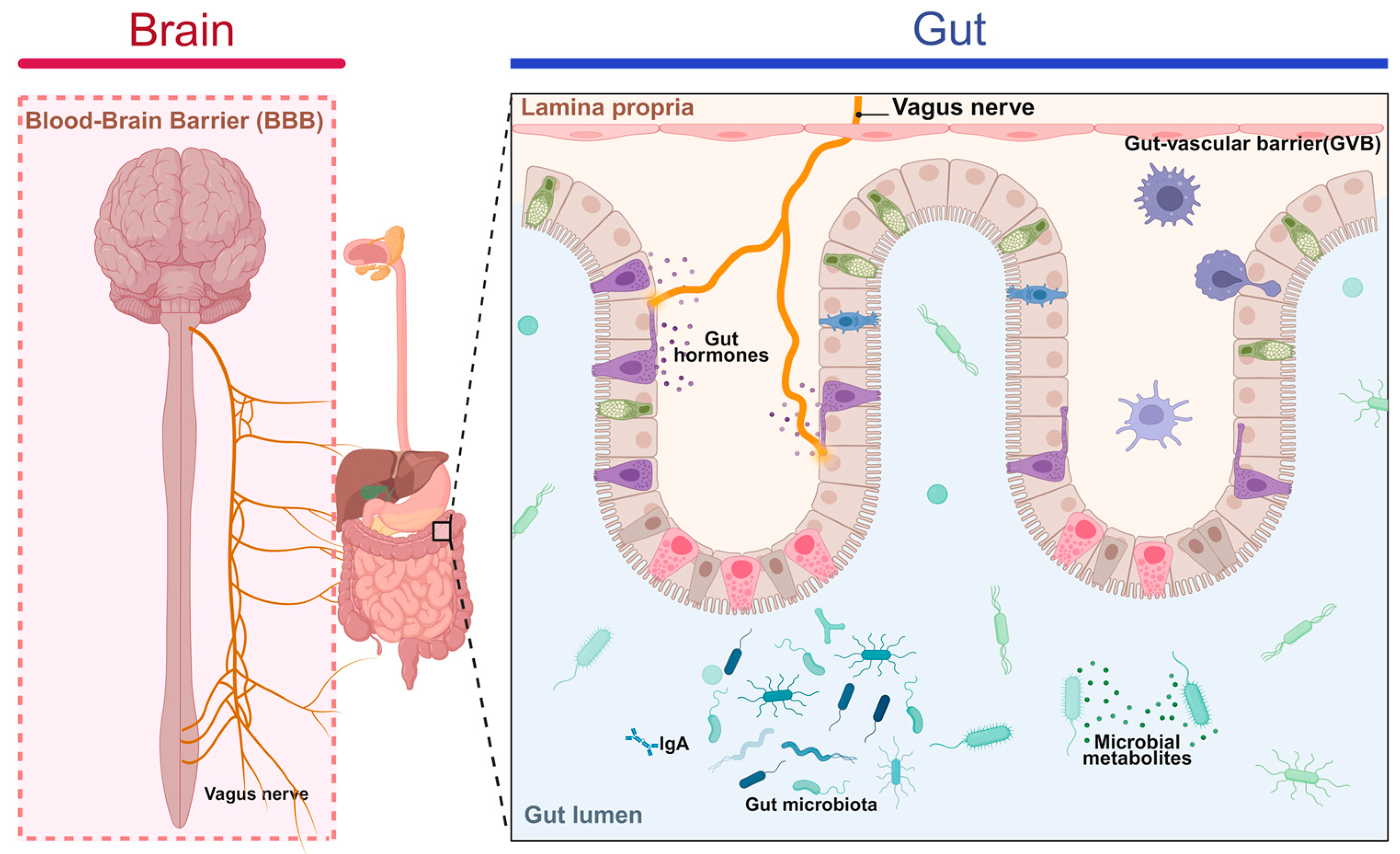 Cimb 47 00842 g004 Cimb 47 00842 g004