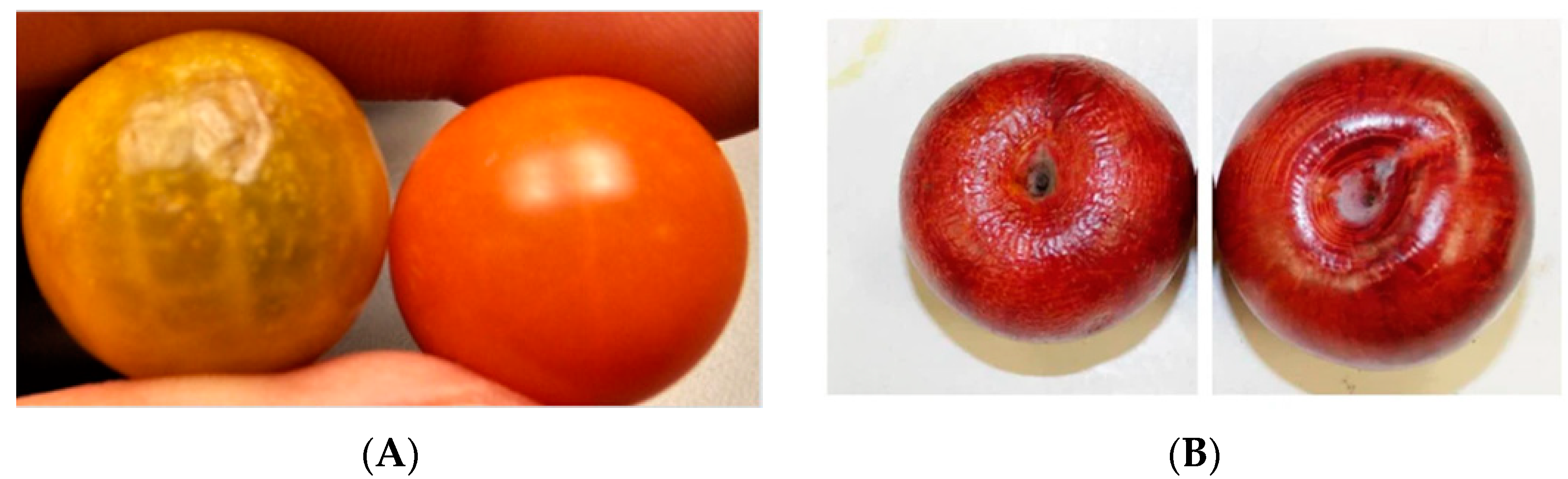 Cleantechnol 04 00077 g004