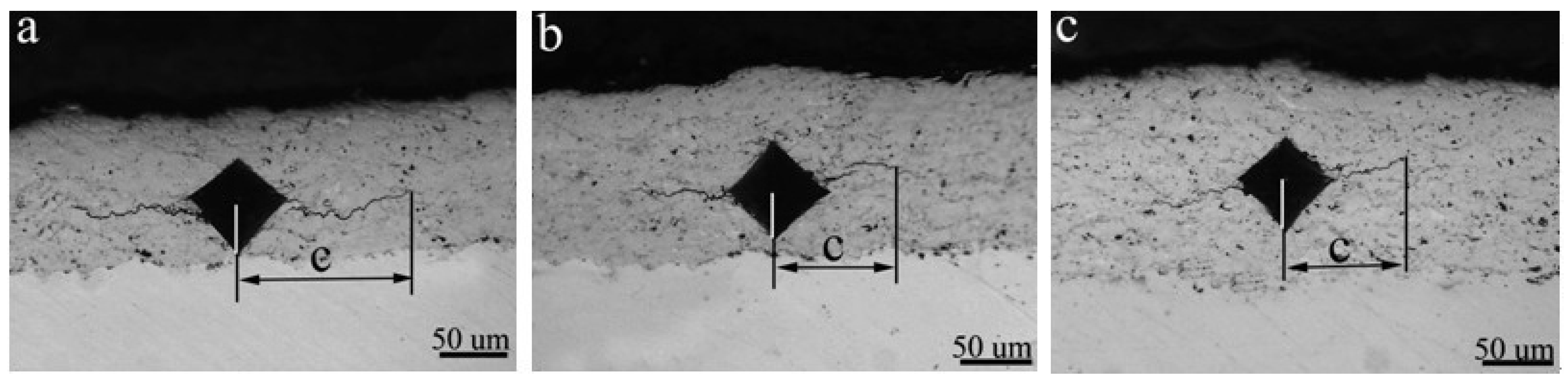 Coatings 07 00098 g004