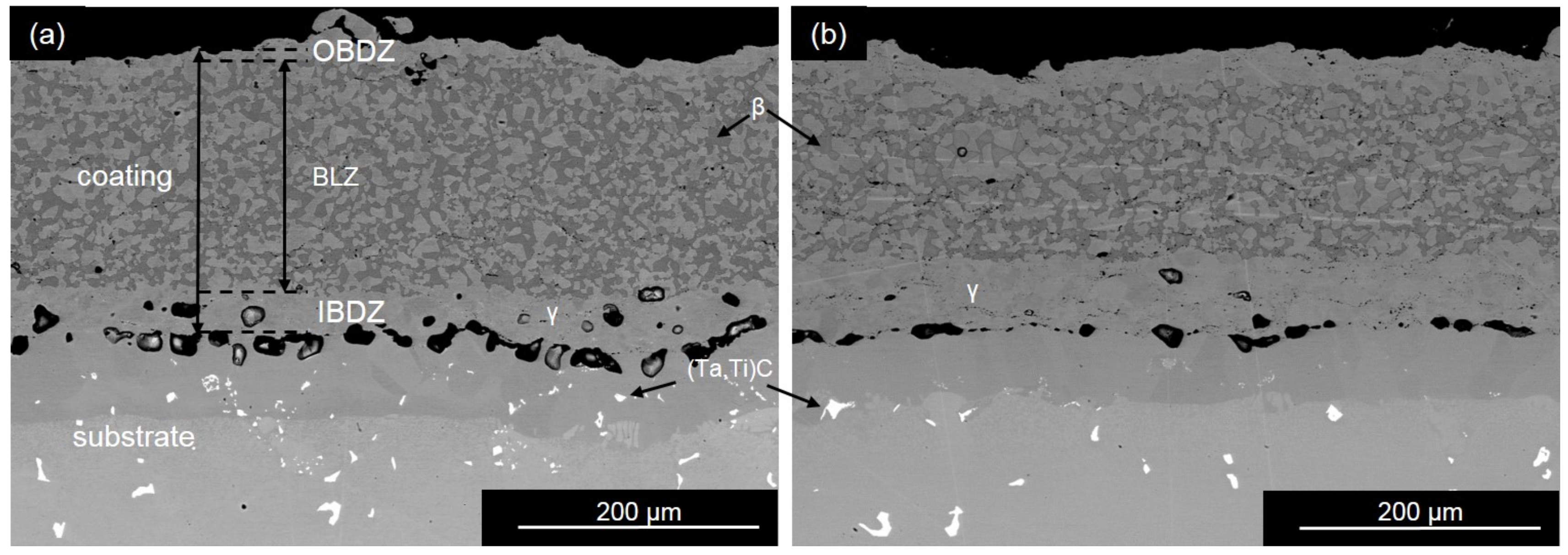 Coatings 08 00129 g001