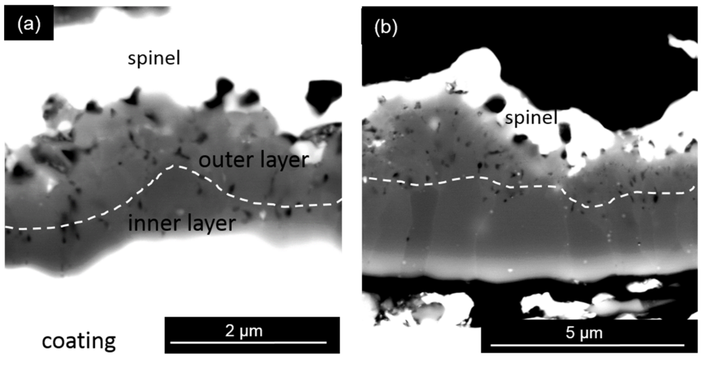 Coatings 08 00129 g007a