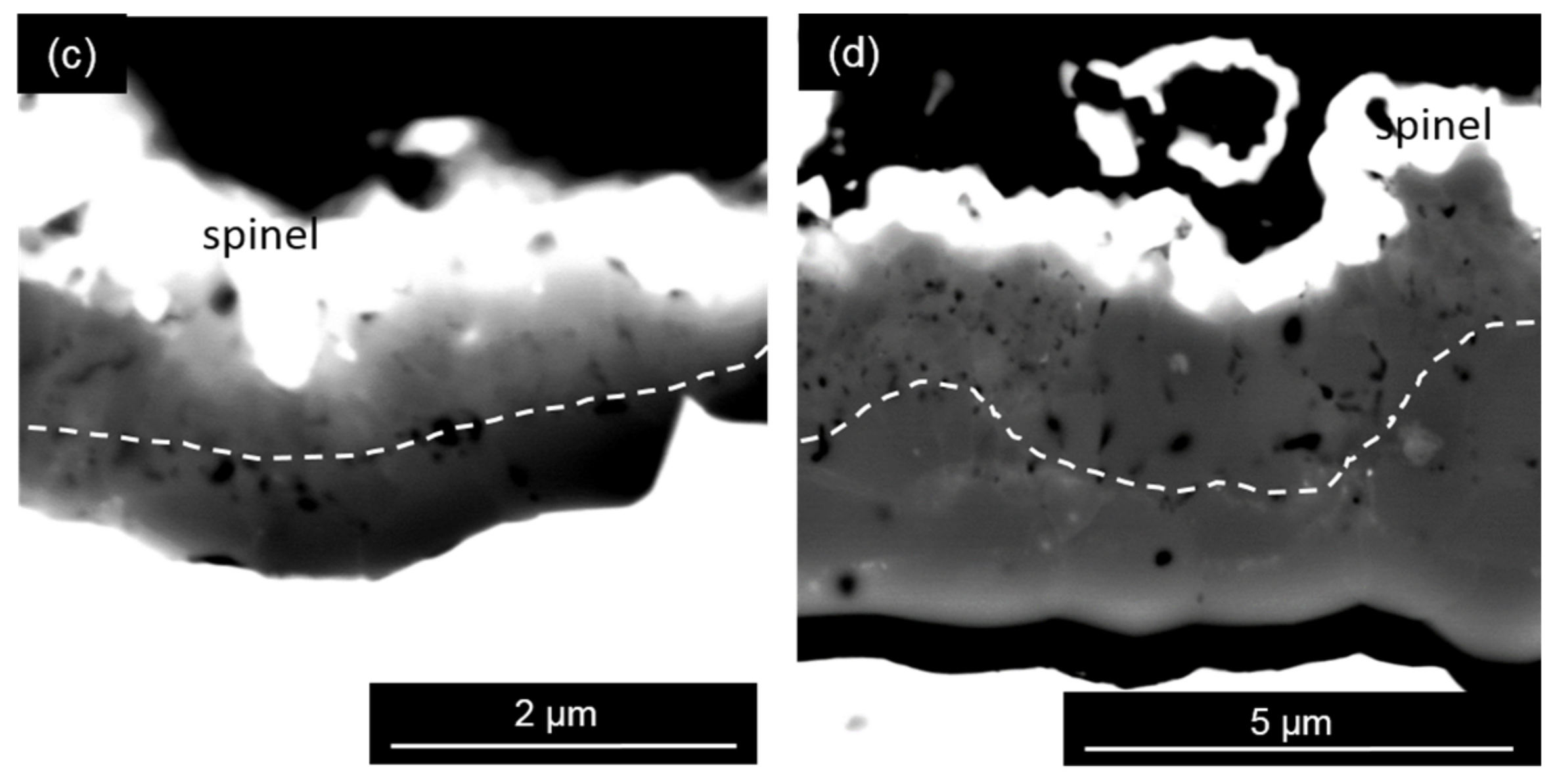 Coatings 08 00129 g007b