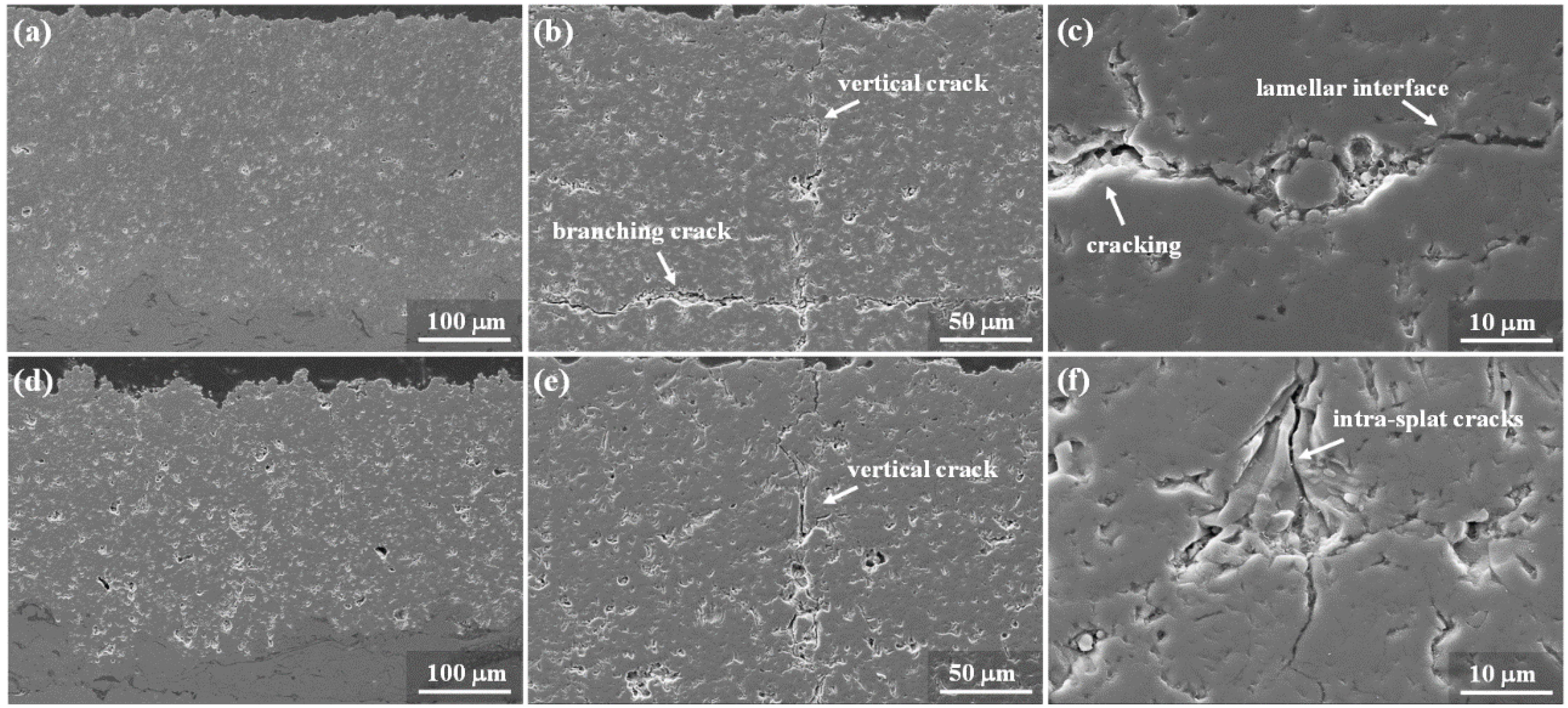 Coatings 08 00187 g002