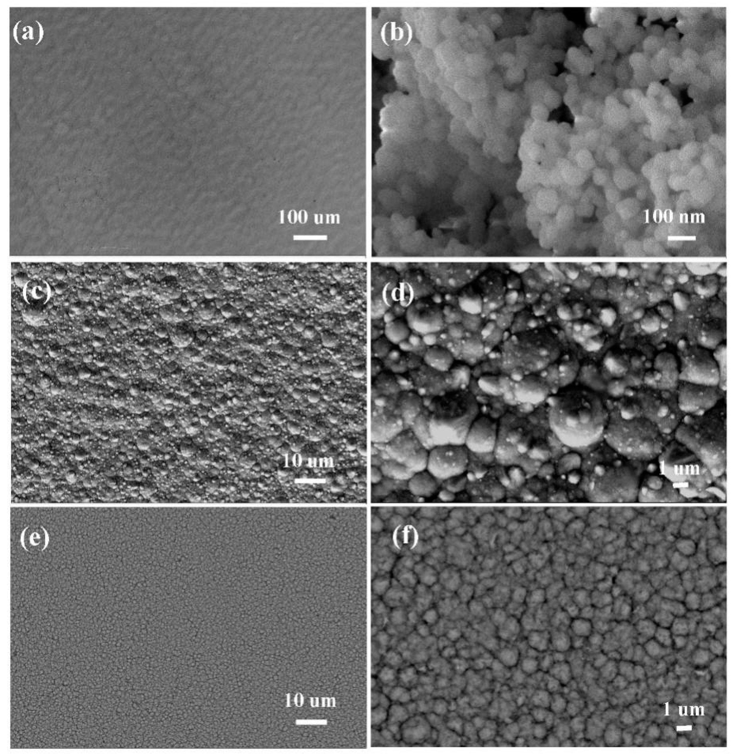 Coatings 08 00211 g009 Coatings 08 00211 g009