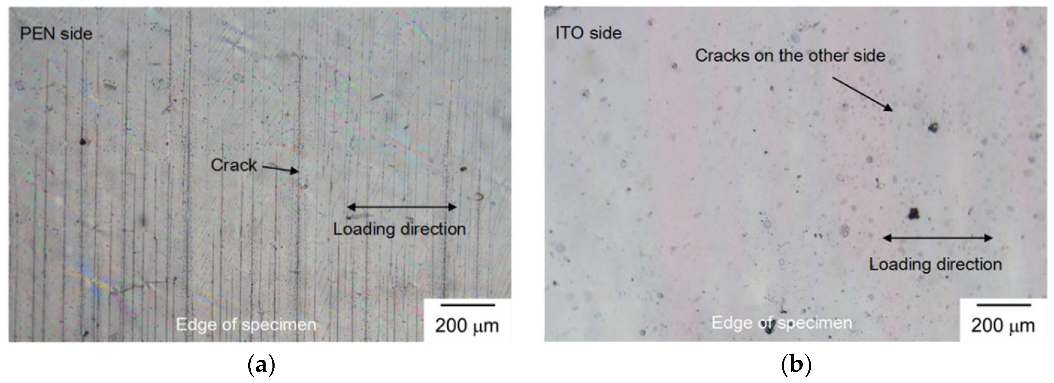 Coatings 08 00212 g005