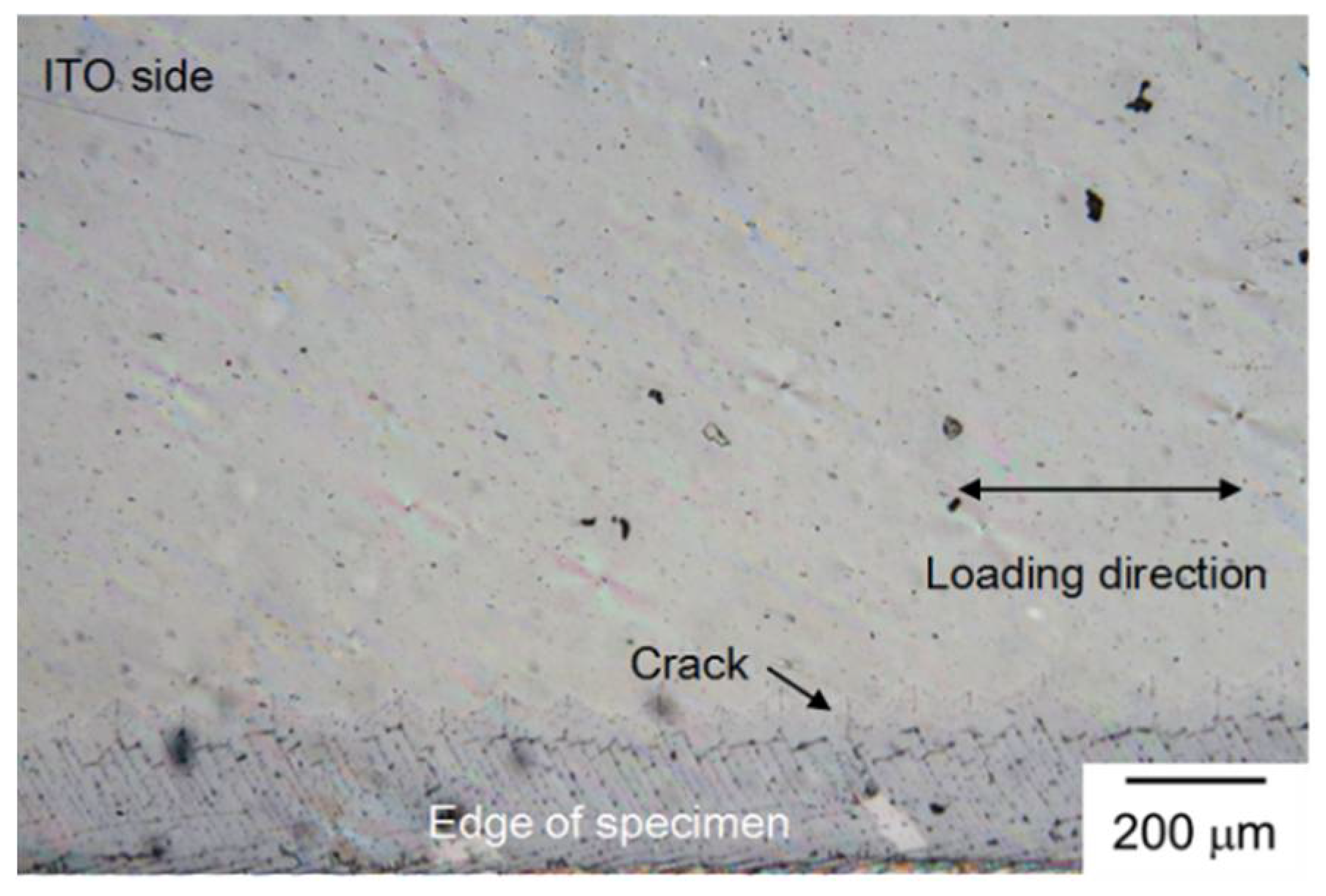 Coatings 08 00212 g007