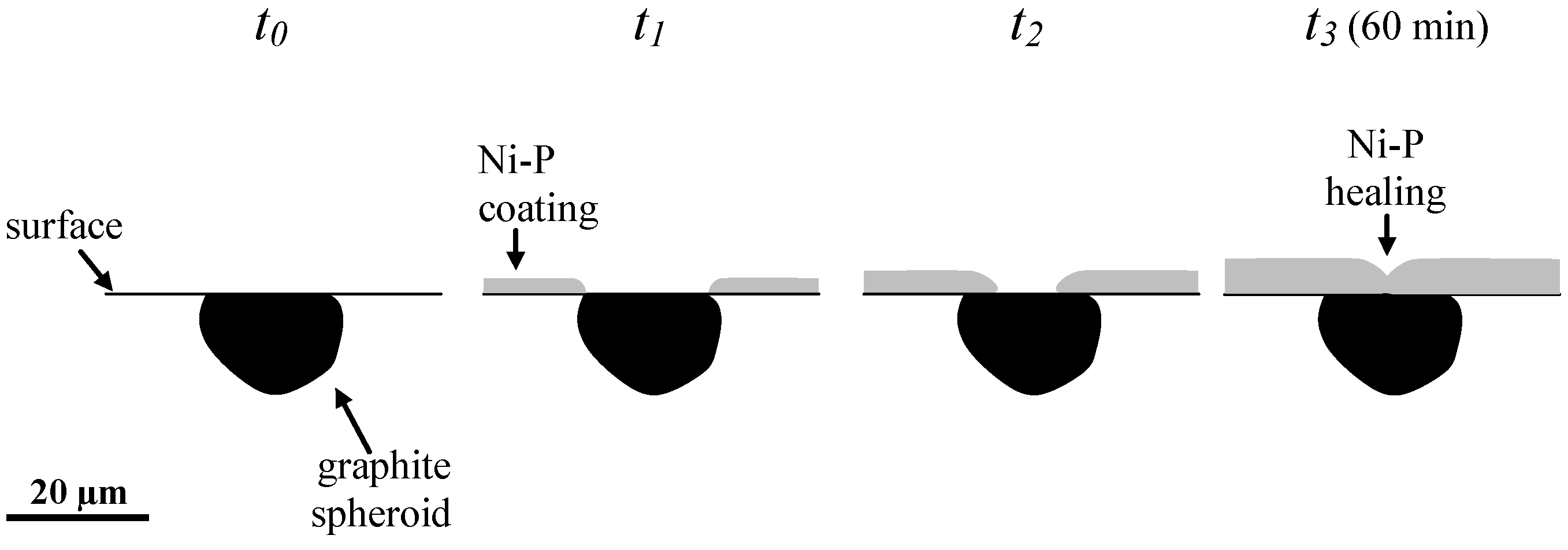 Coatings 08 00239 g008