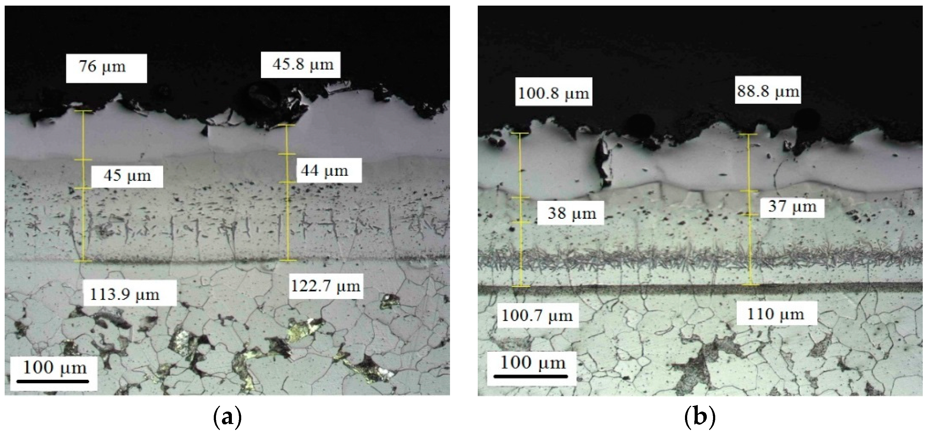 Coatings 08 00257 g0a14