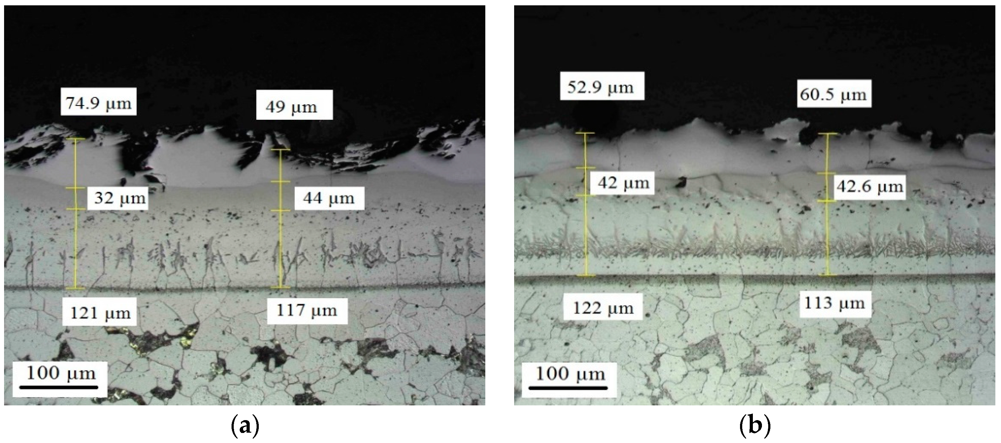 Coatings 08 00257 g0a15