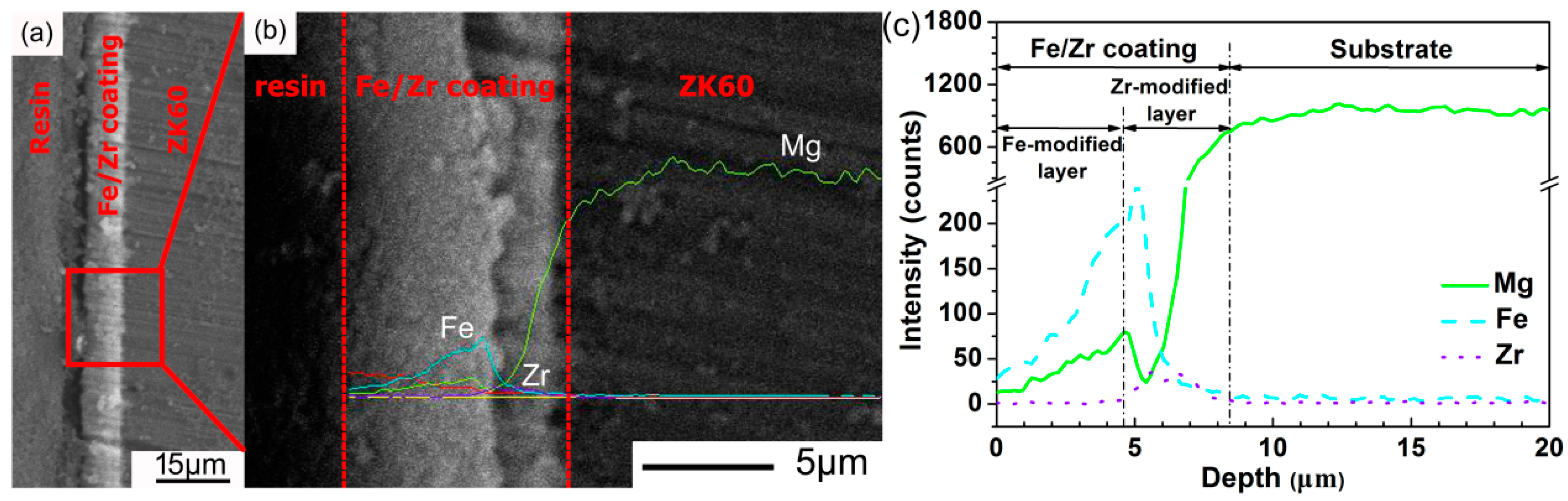 Coatings 08 00261 g003
