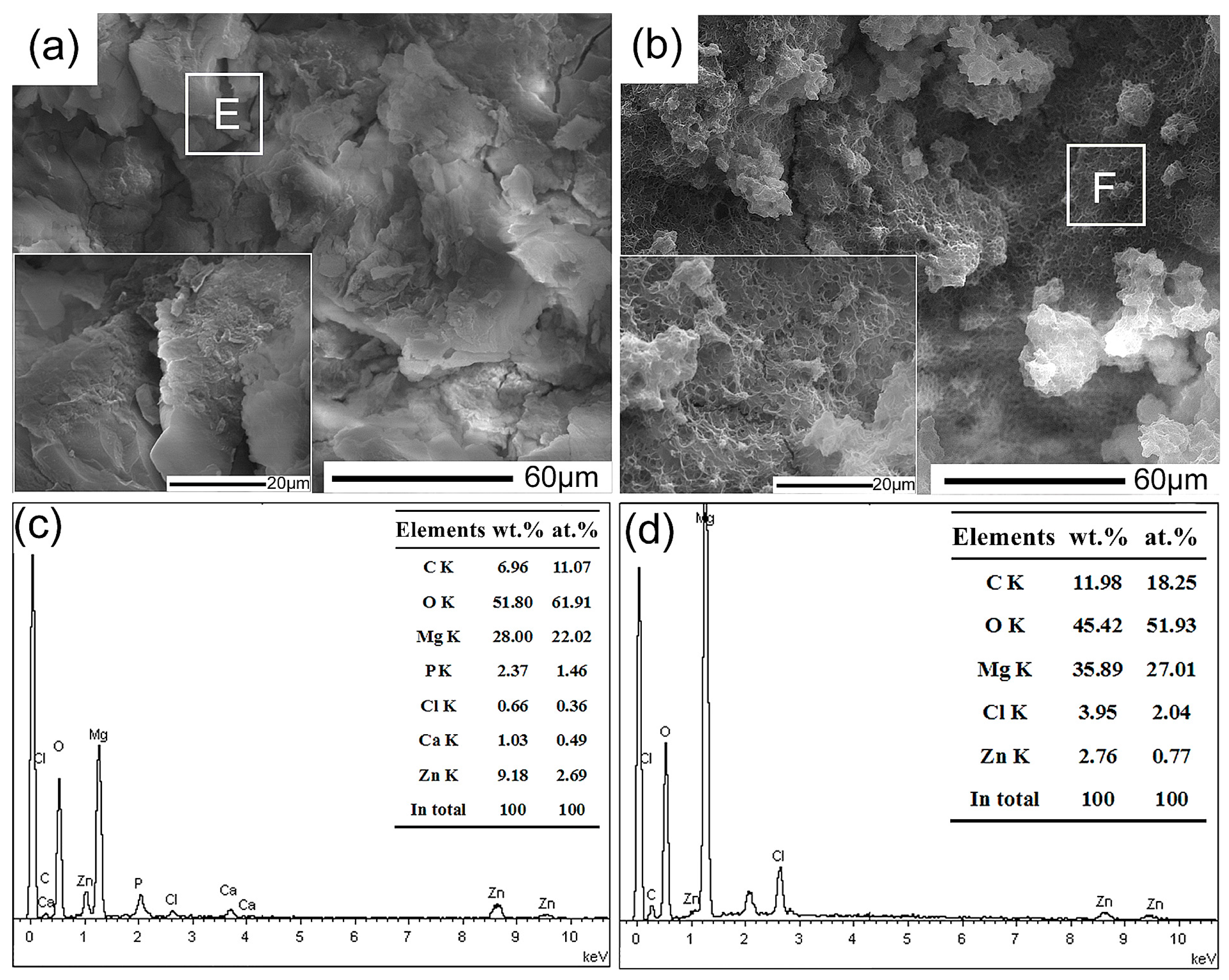Coatings 08 00261 g009