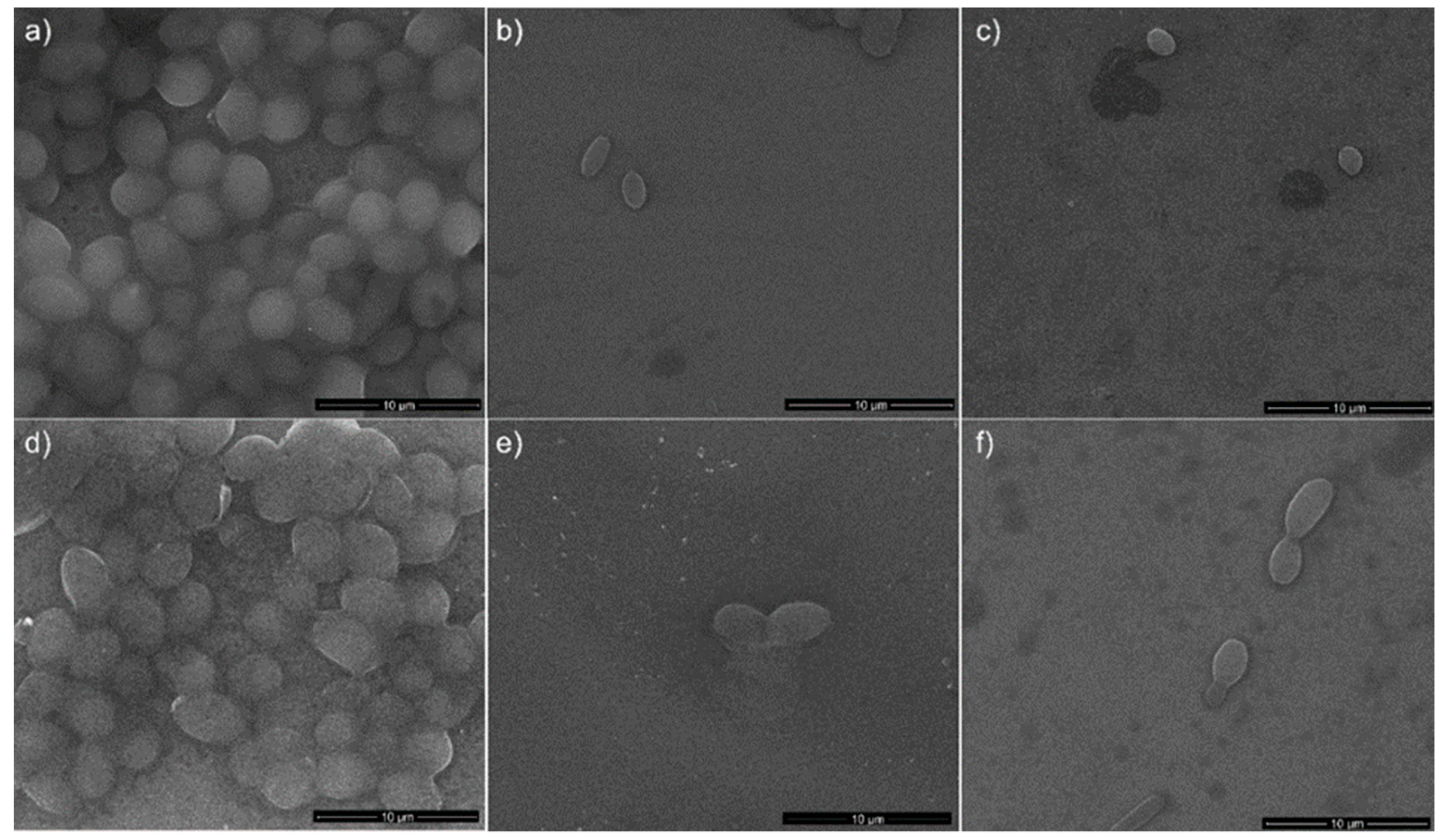 Coatings 08 00276 g012
