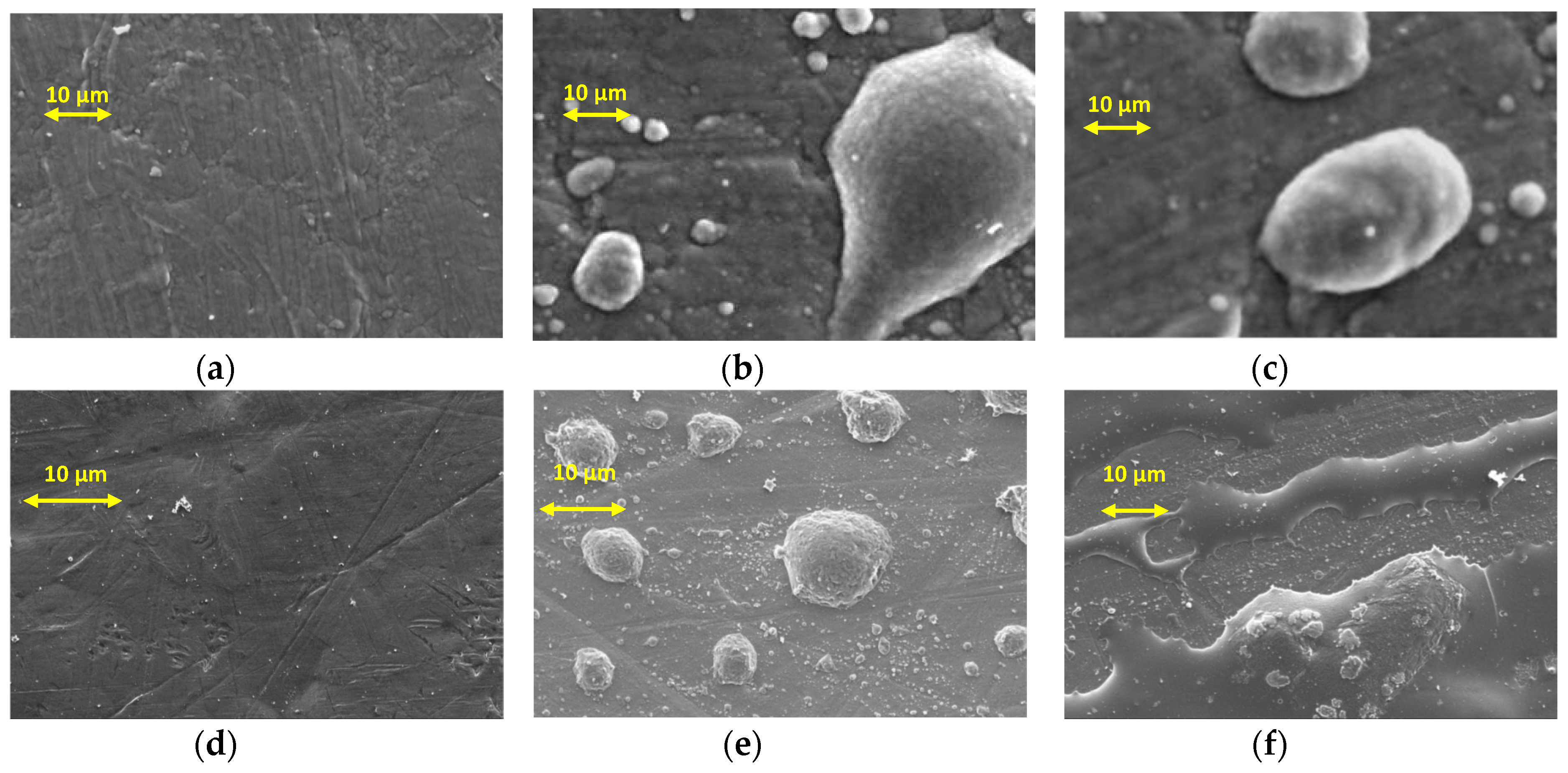 Coatings 08 00301 g008