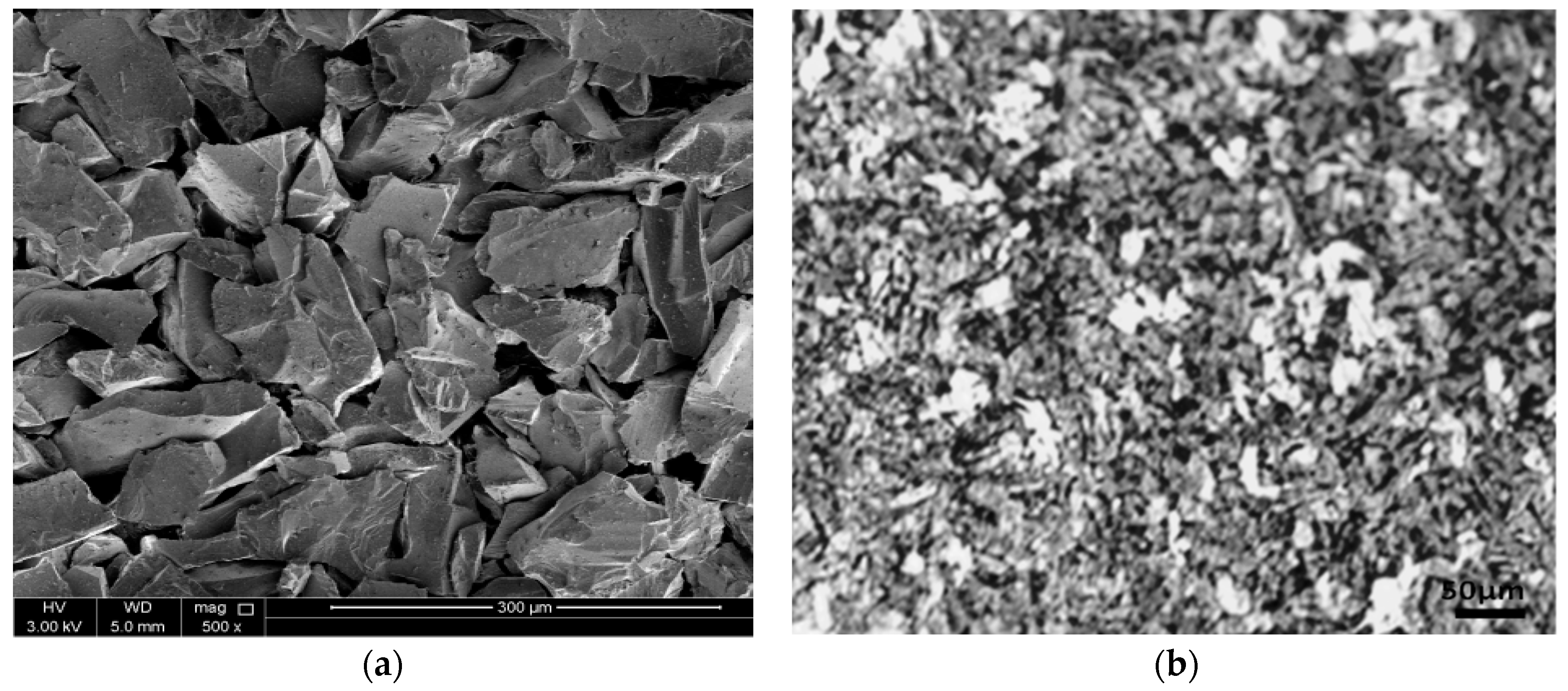 Coatings 08 00343 g001