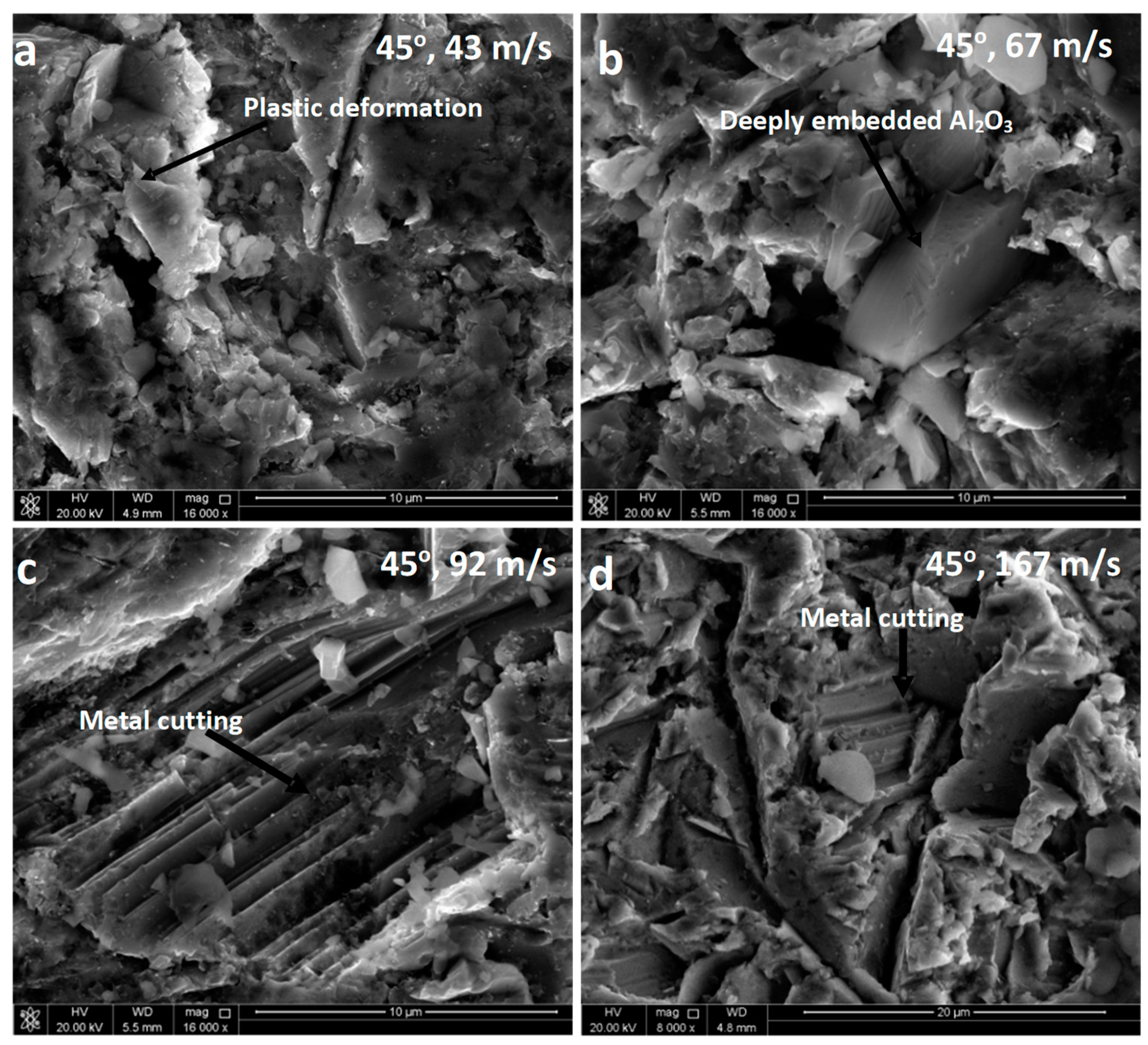 Coatings 08 00343 g007
