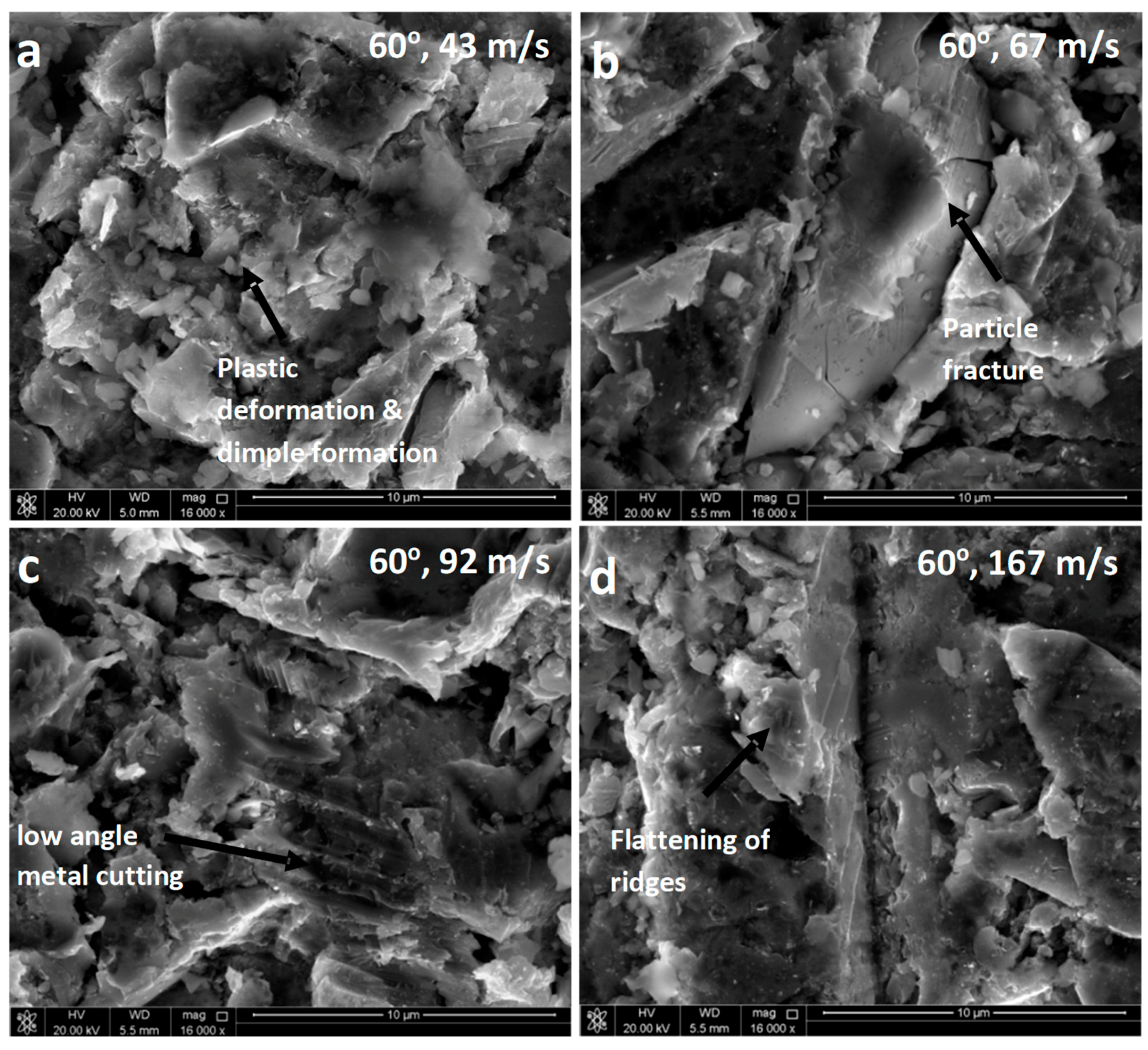 Coatings 08 00343 g008