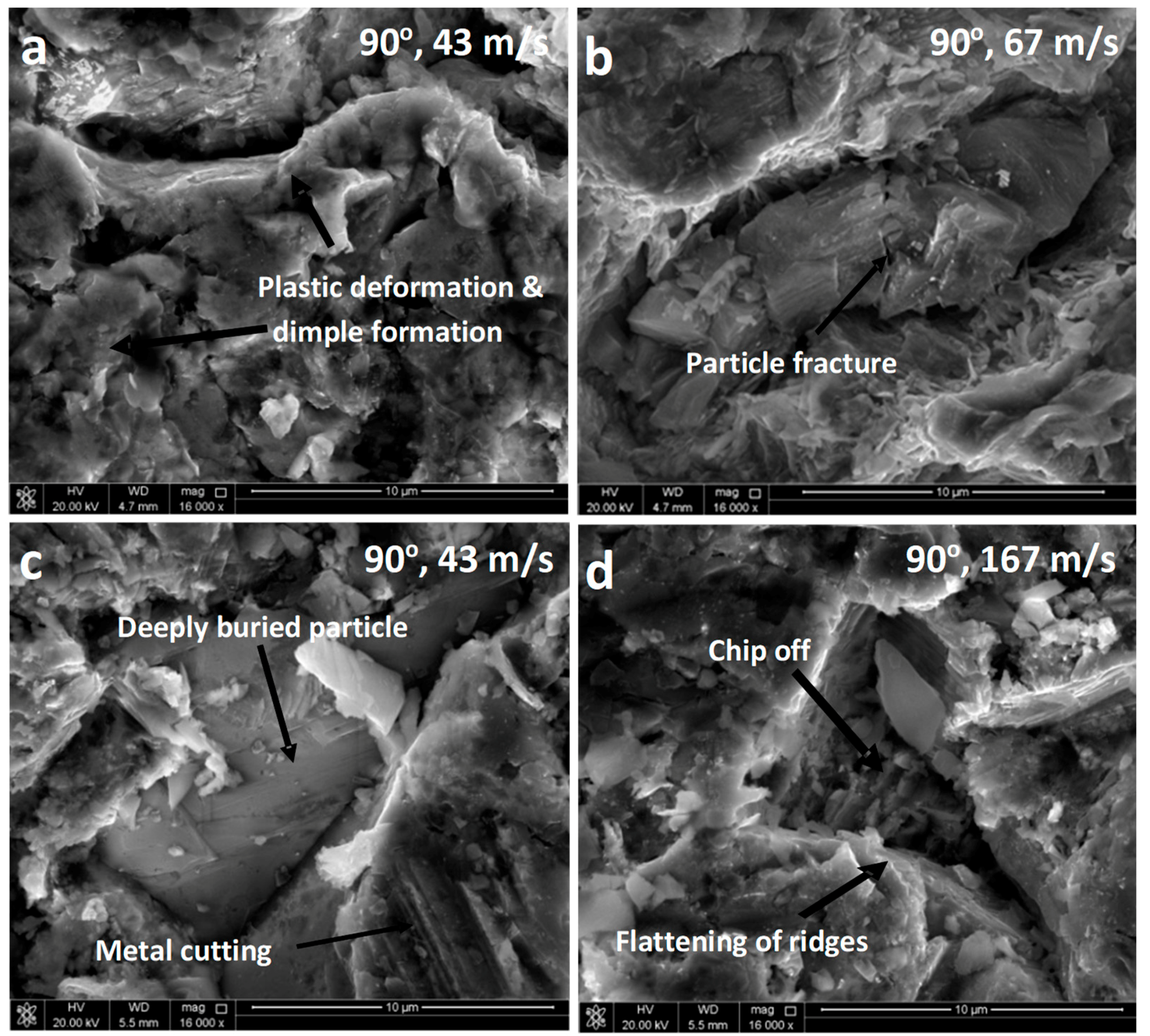 Coatings 08 00343 g009