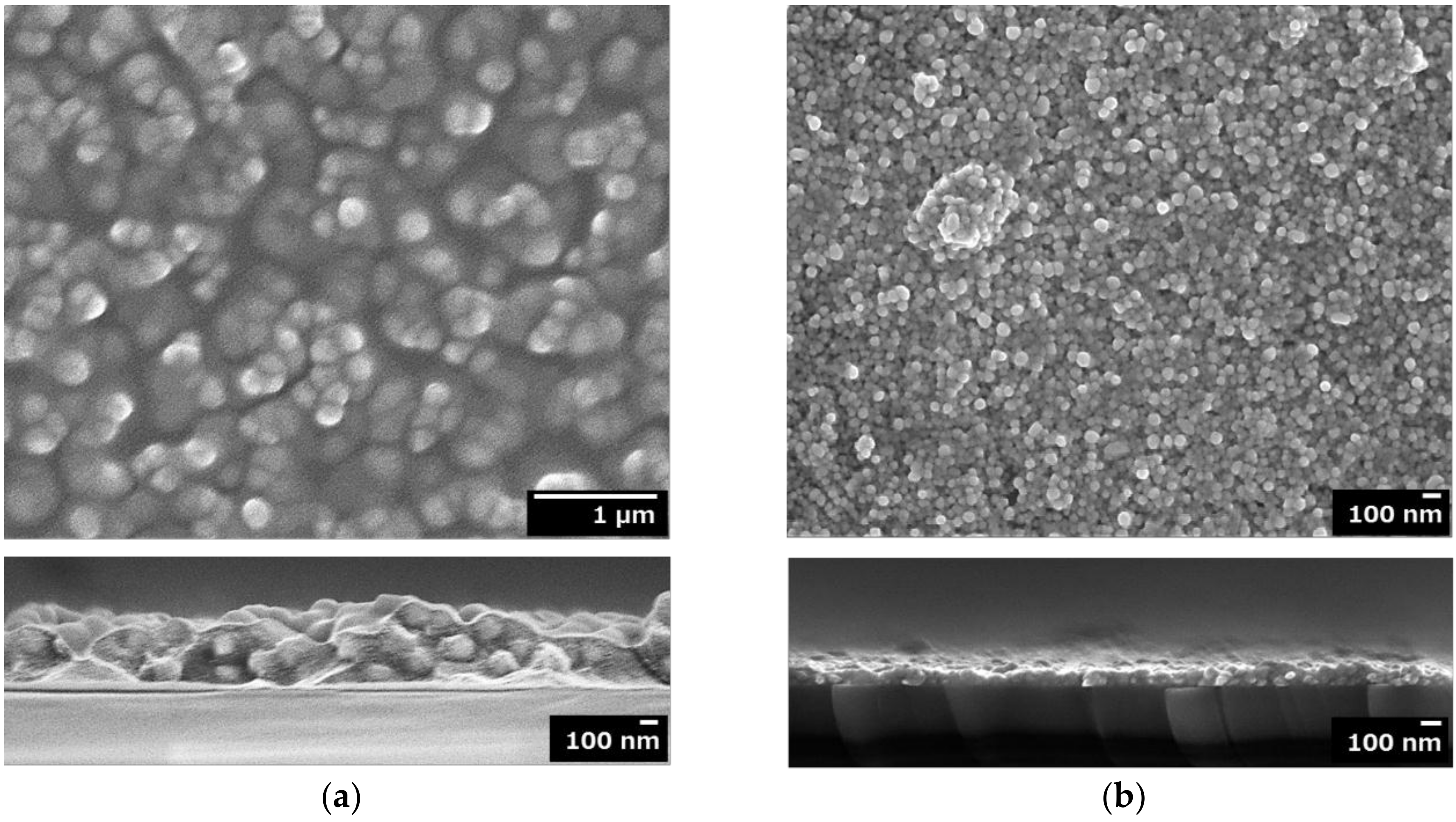 Coatings 08 00352 g003