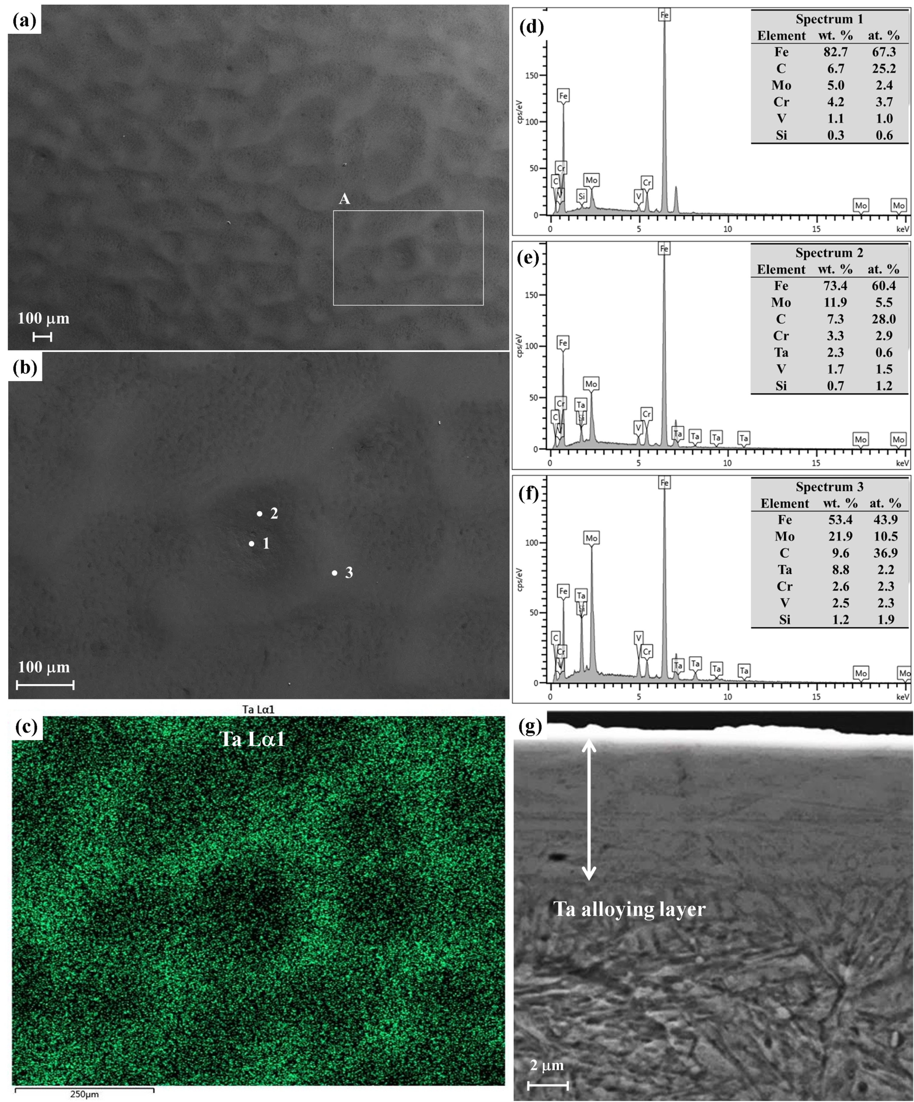 Coatings 08 00355 g001 Coatings 08 00355 g001