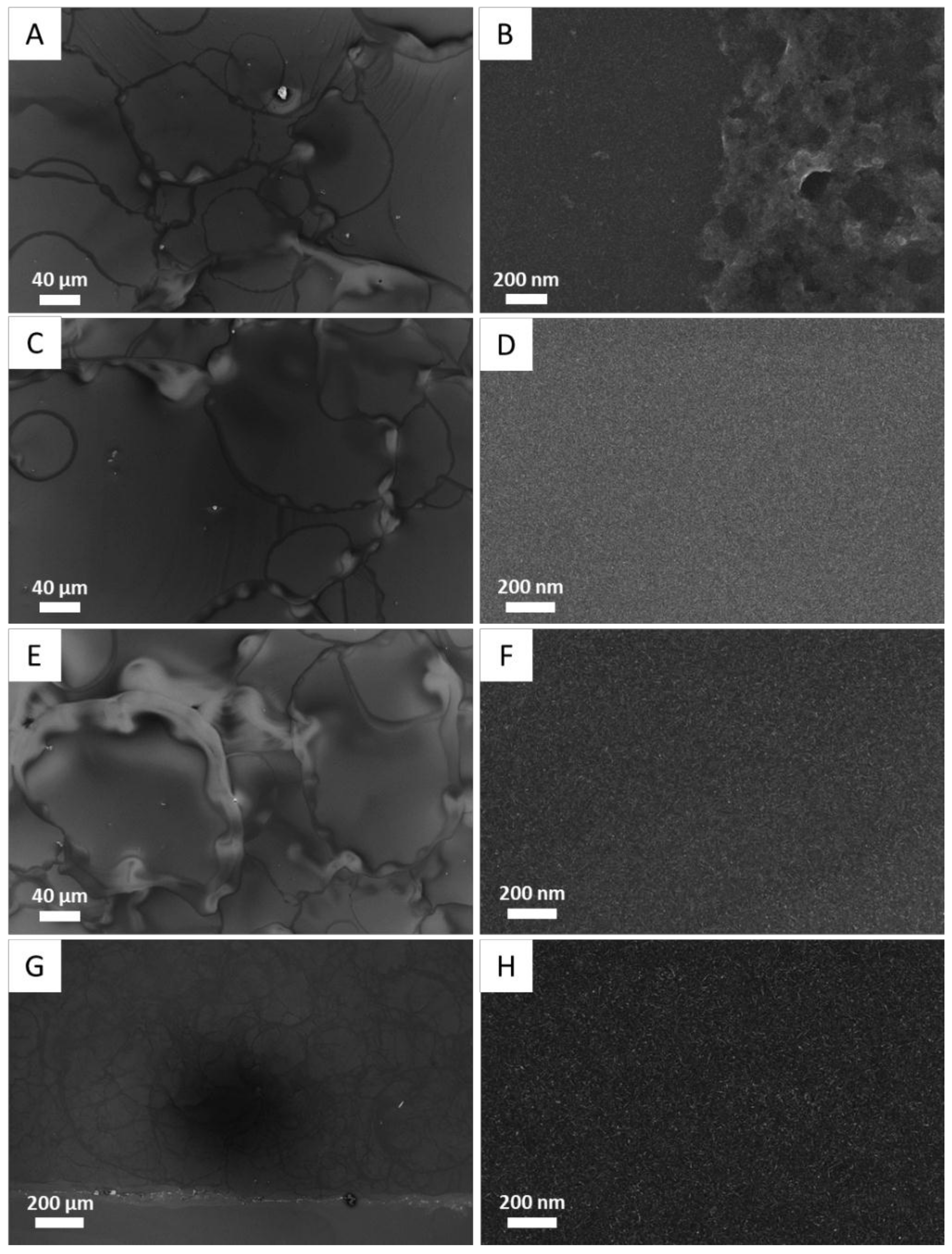 Coatings 08 00356 g005