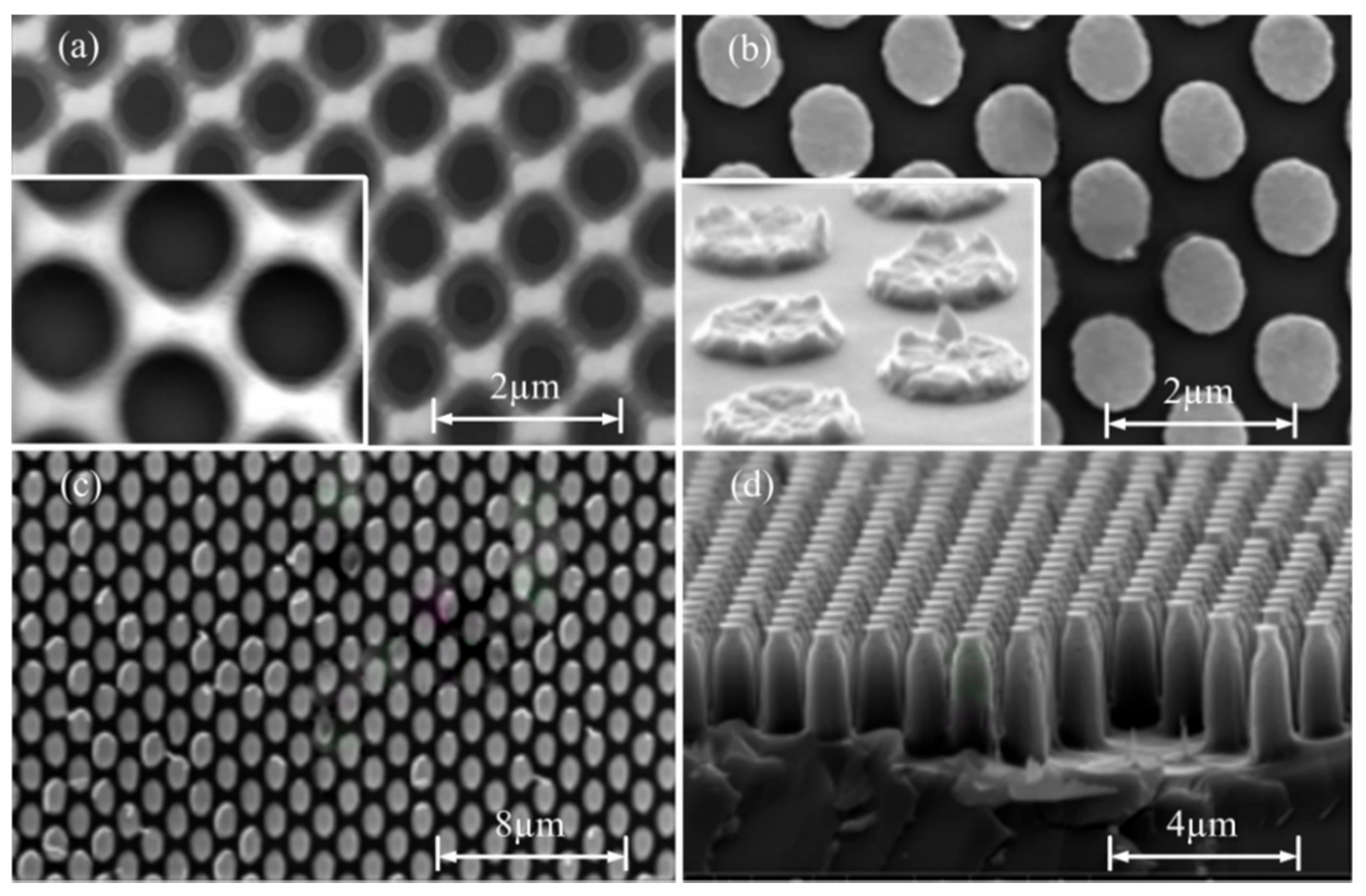 Coatings 08 00360 g007