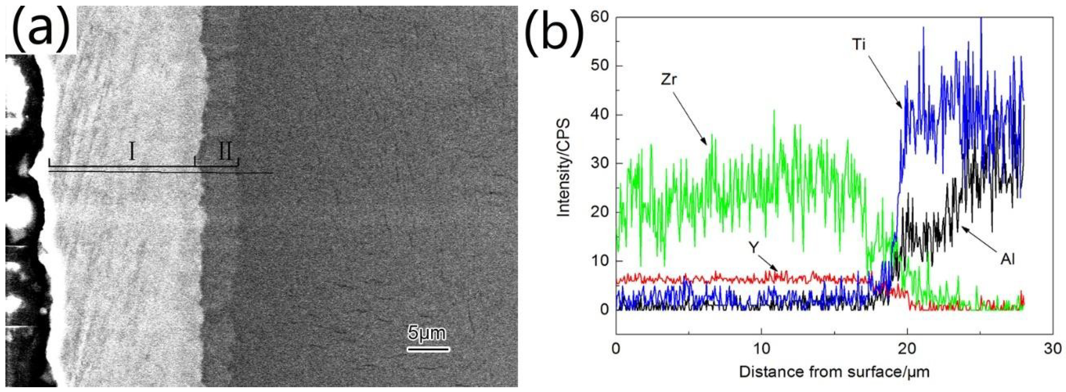 Coatings 08 00361 g003