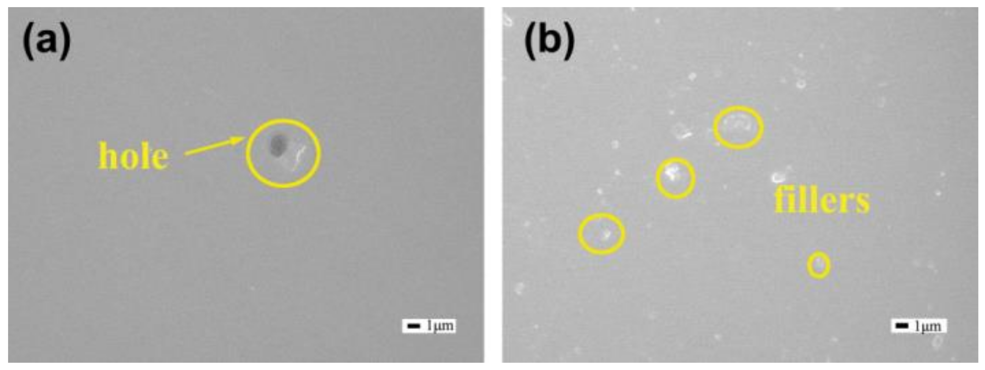 Coatings 08 00365 g006