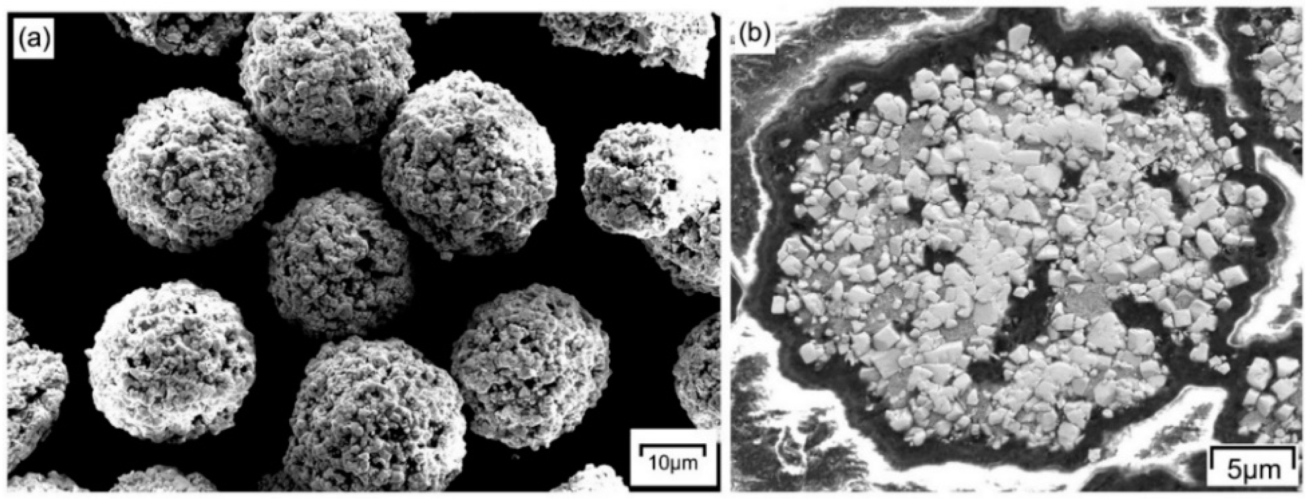 Coatings 08 00367 g001