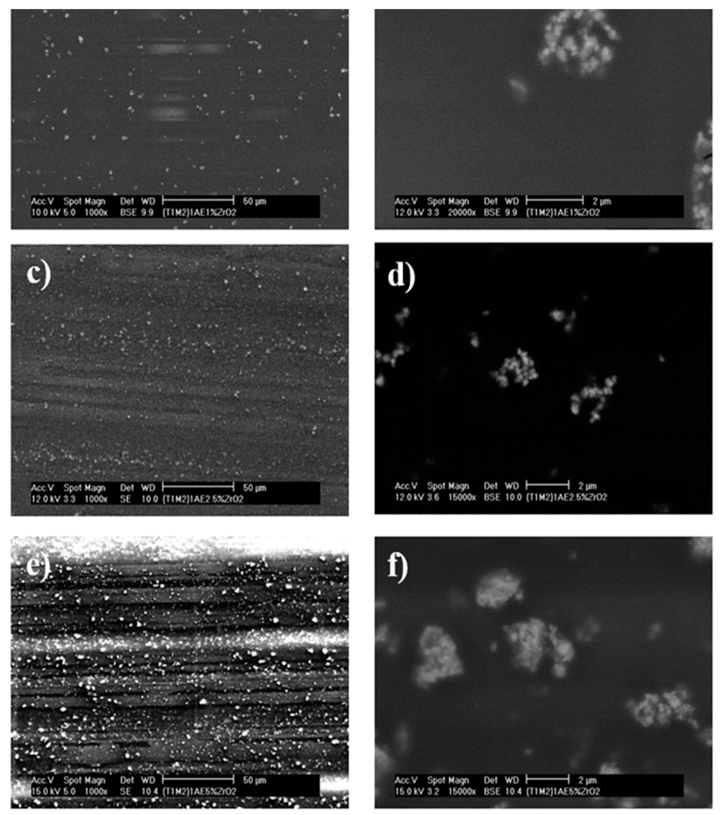 Coatings 08 00368 g006