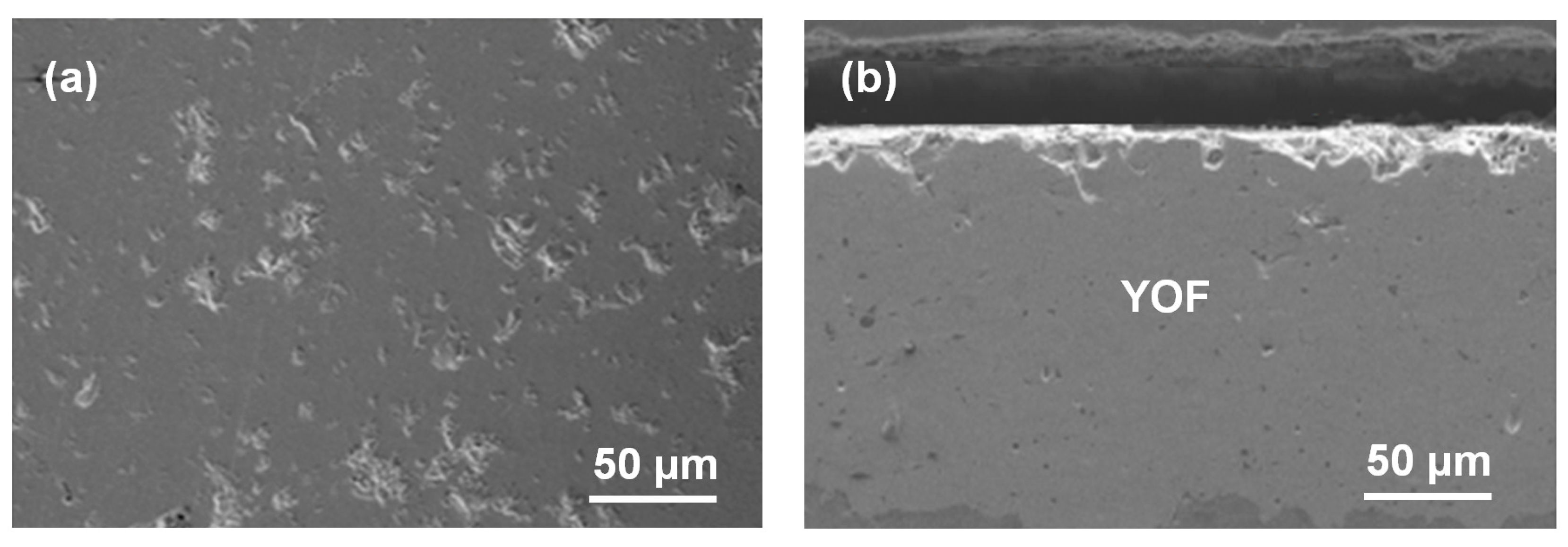 Coatings 08 00373 g001