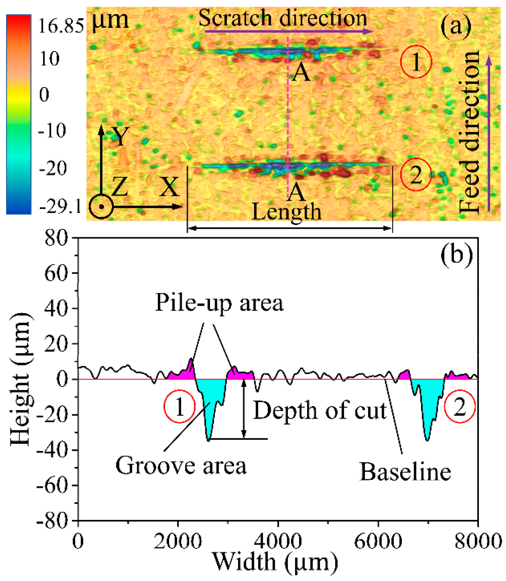 Coatings 08 00416 g004