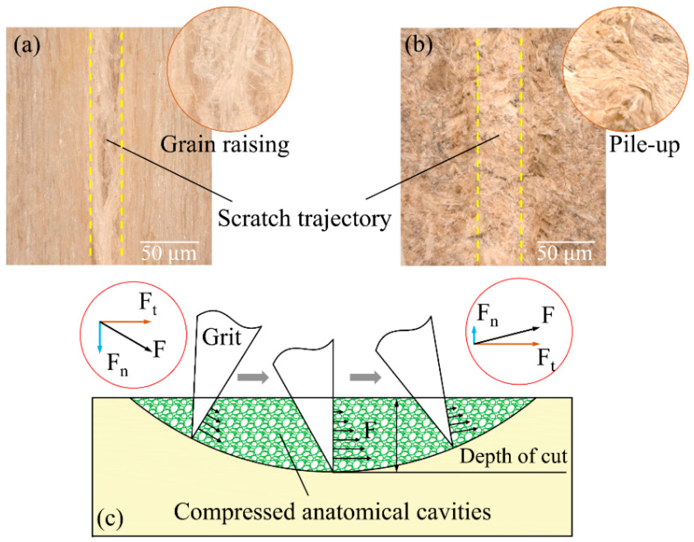 Coatings 08 00416 g007