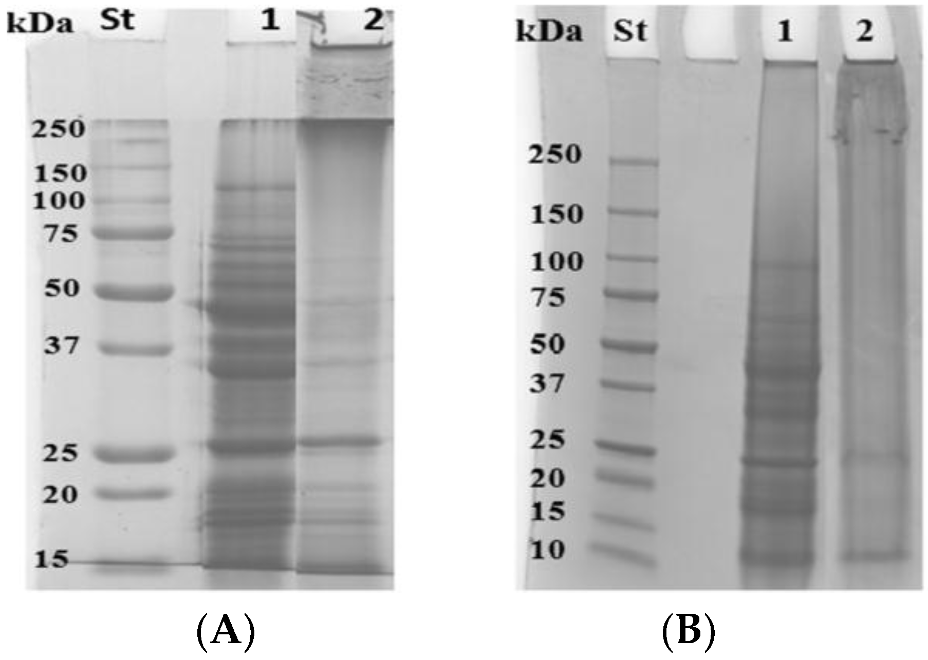 Coatings 08 00435 g002 Coatings 08 00435 g002