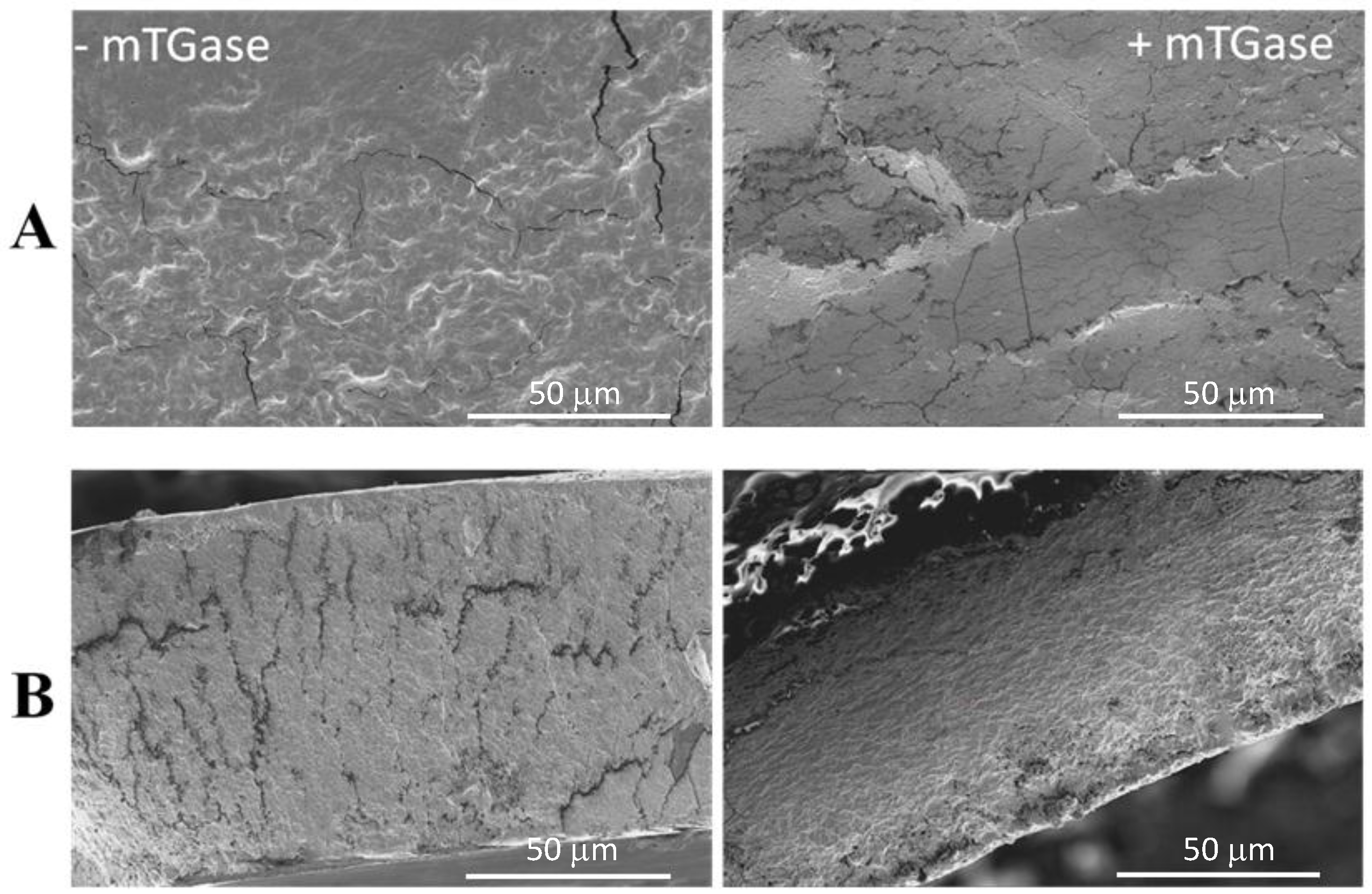 Coatings 08 00435 g003 Coatings 08 00435 g003